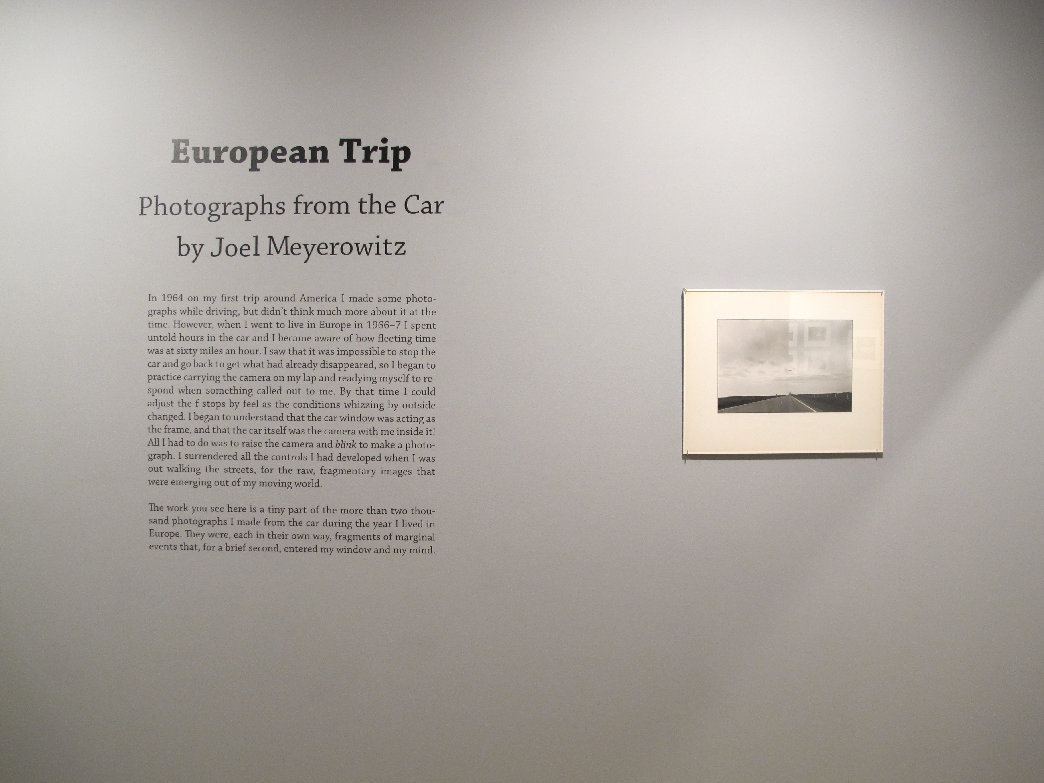 Freewheelin' - Howard Greenberg Gallery - 2013