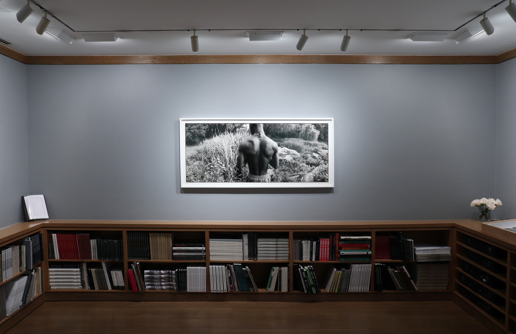 The Immigrants, Howard Greenberg Gallery, 2017