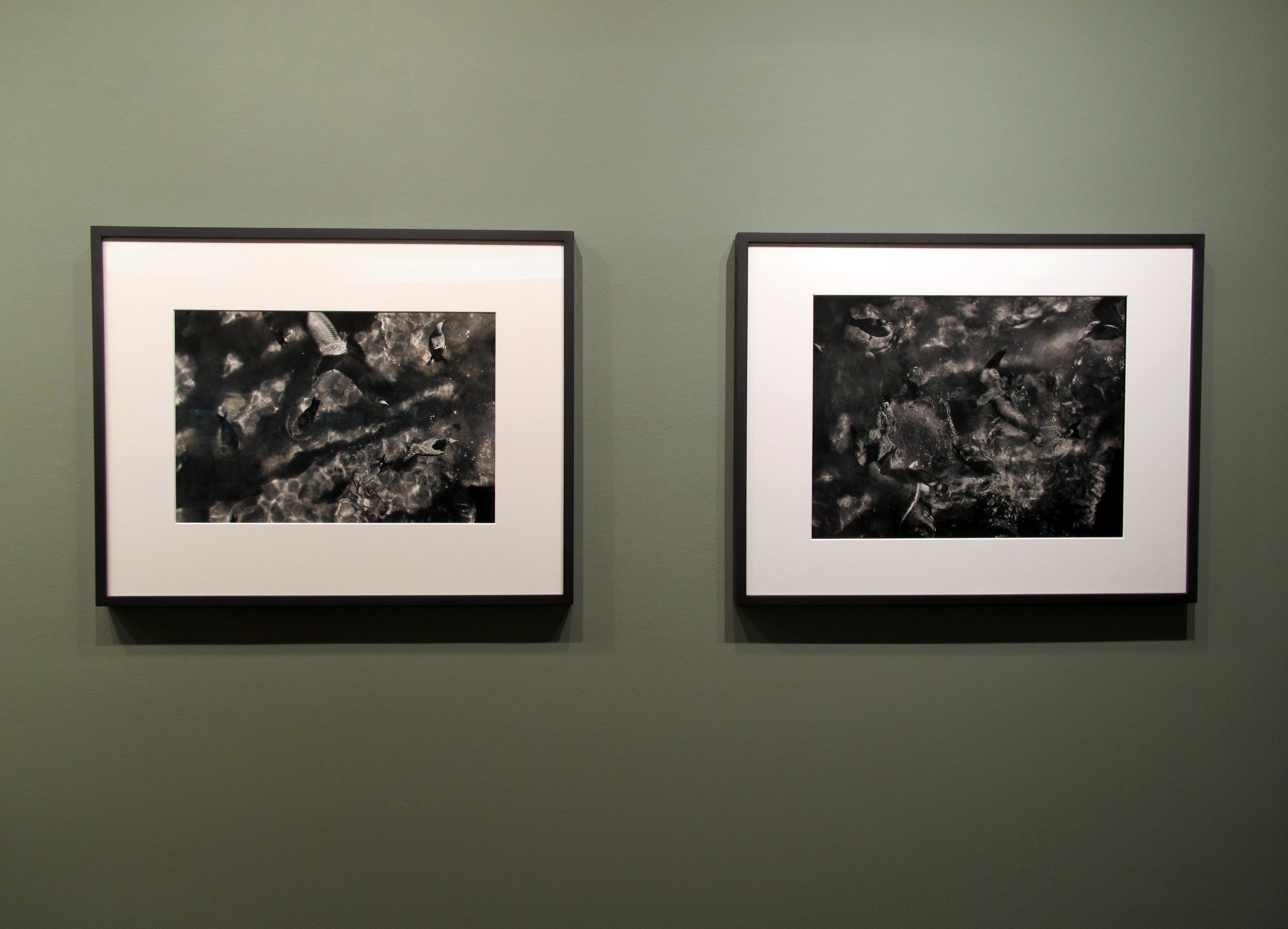 A Democracy of Imagery - Colin Westerbeck - Howard Greenberg Gallery - 2016