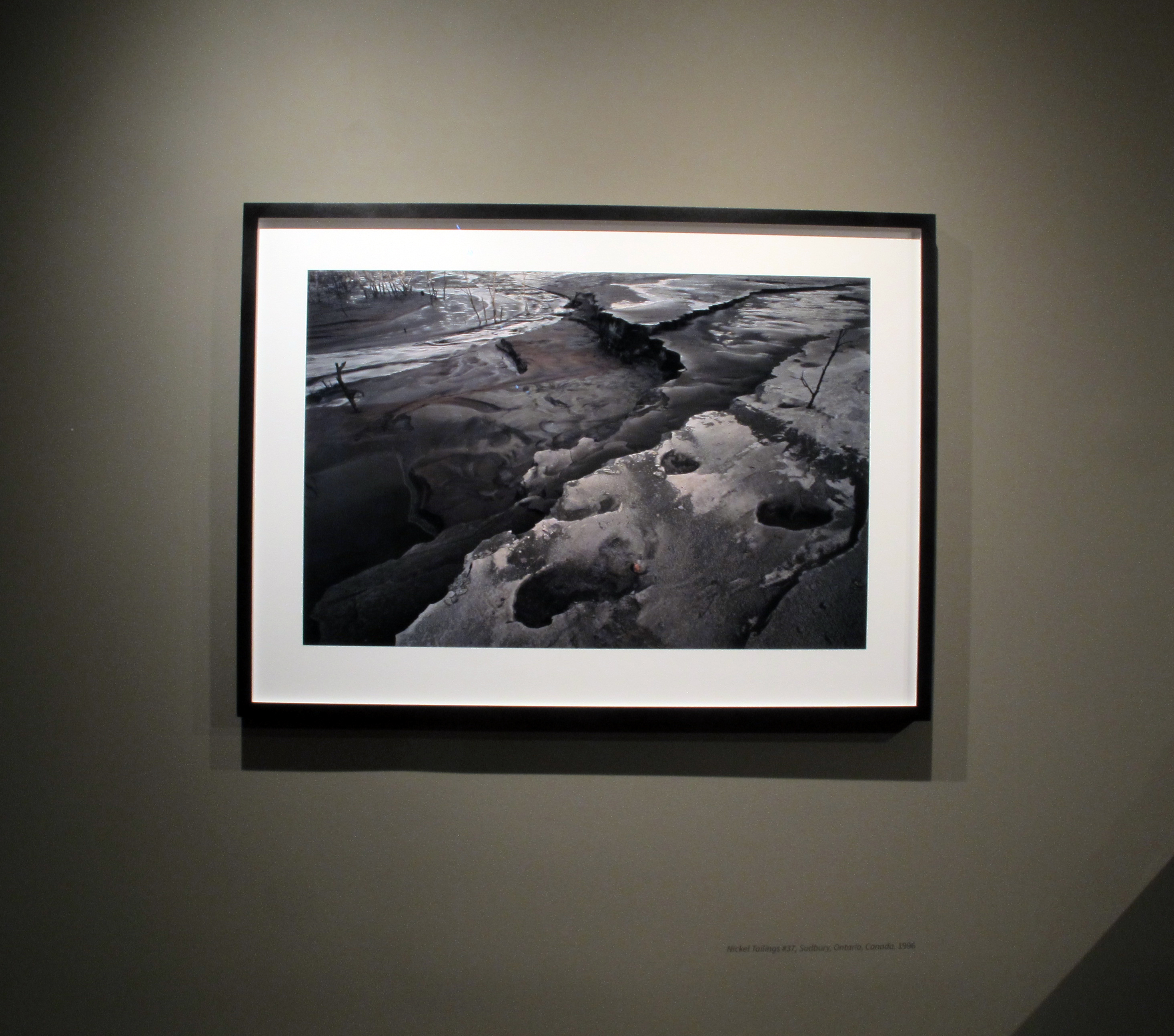 Jungjin Lee: Selections from Recent Projects - Howard Greenberg Gallery - 2015