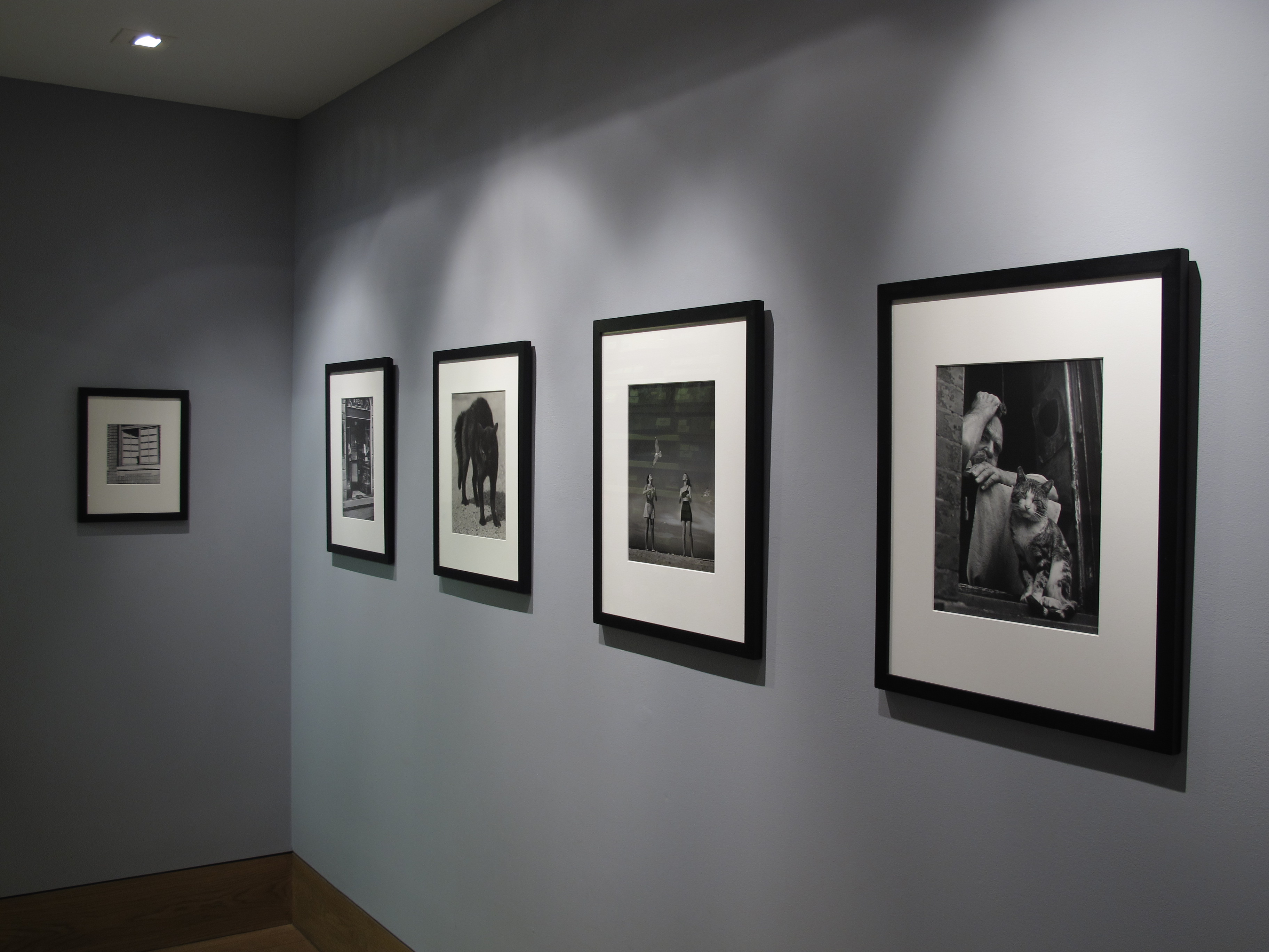 The Image Gallery Redux: 1959-1962 - Howard Greenberg Gallery - 2014