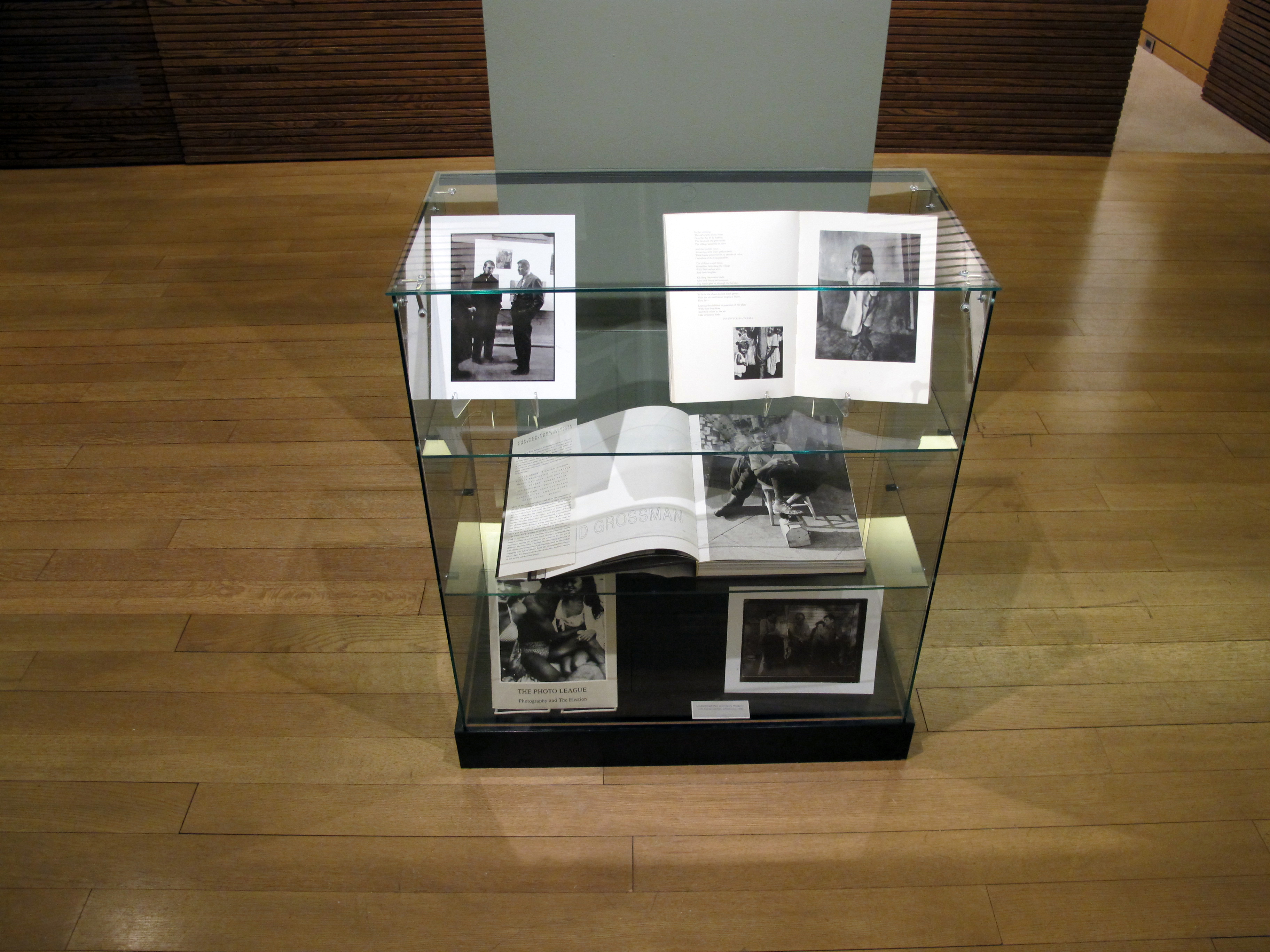 A Democracy of Imagery - Colin Westerbeck - Howard Greenberg Gallery - 2016