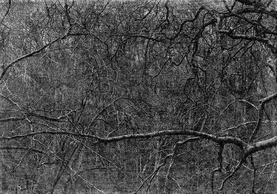 Jungjin Lee, Voice #15, 2019