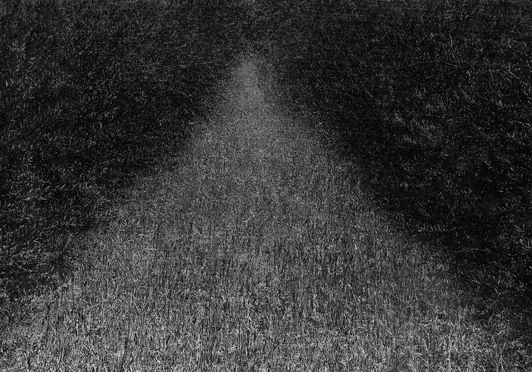 Jungjin Lee, Voice #19, 2019