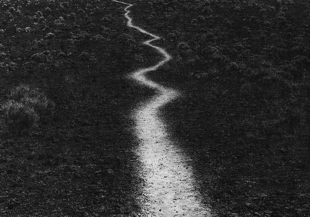 Jungjin lee, Voice #28, 2019