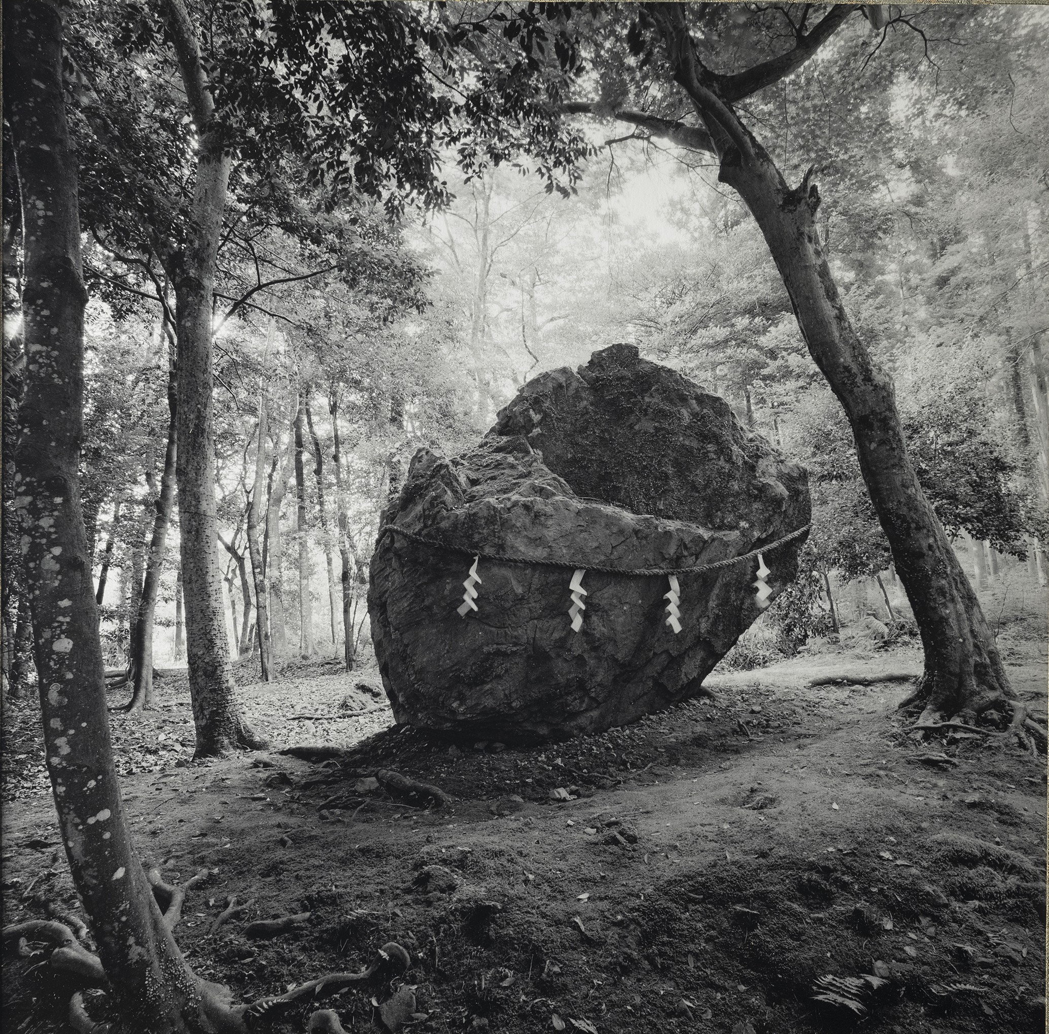 Kenro Izu, No. 24 Iwakura, 2023