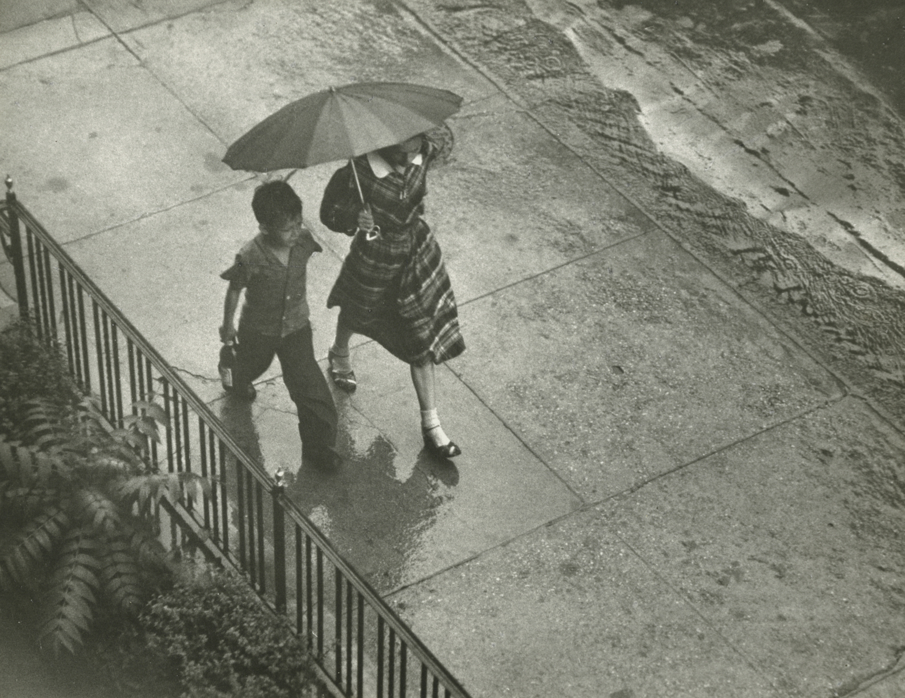 Ruth Orkin Lumiere Press Howard Greenberg Gallery