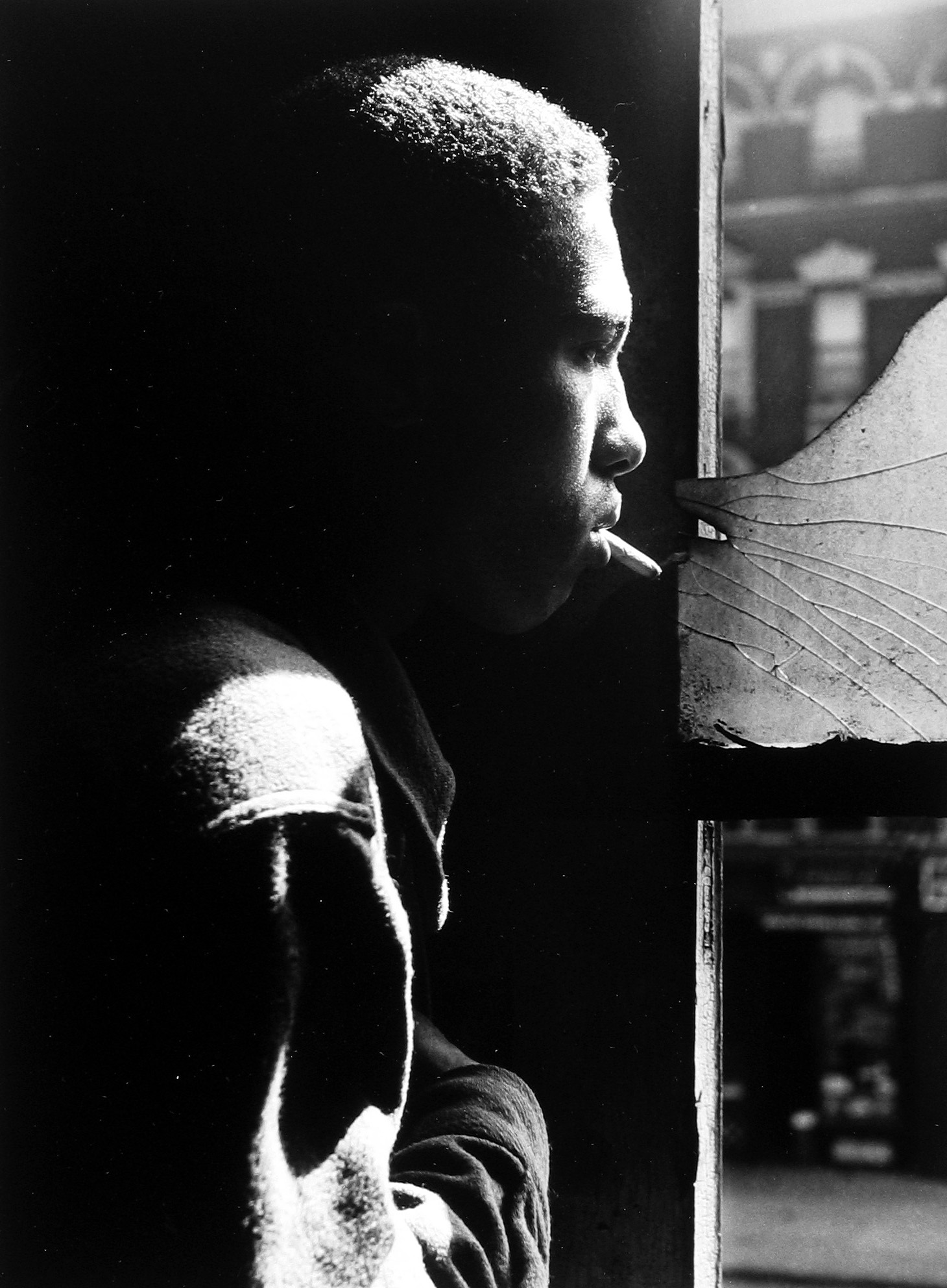 Gordon Parks Lumiere Press Howard Greenberg Gallery