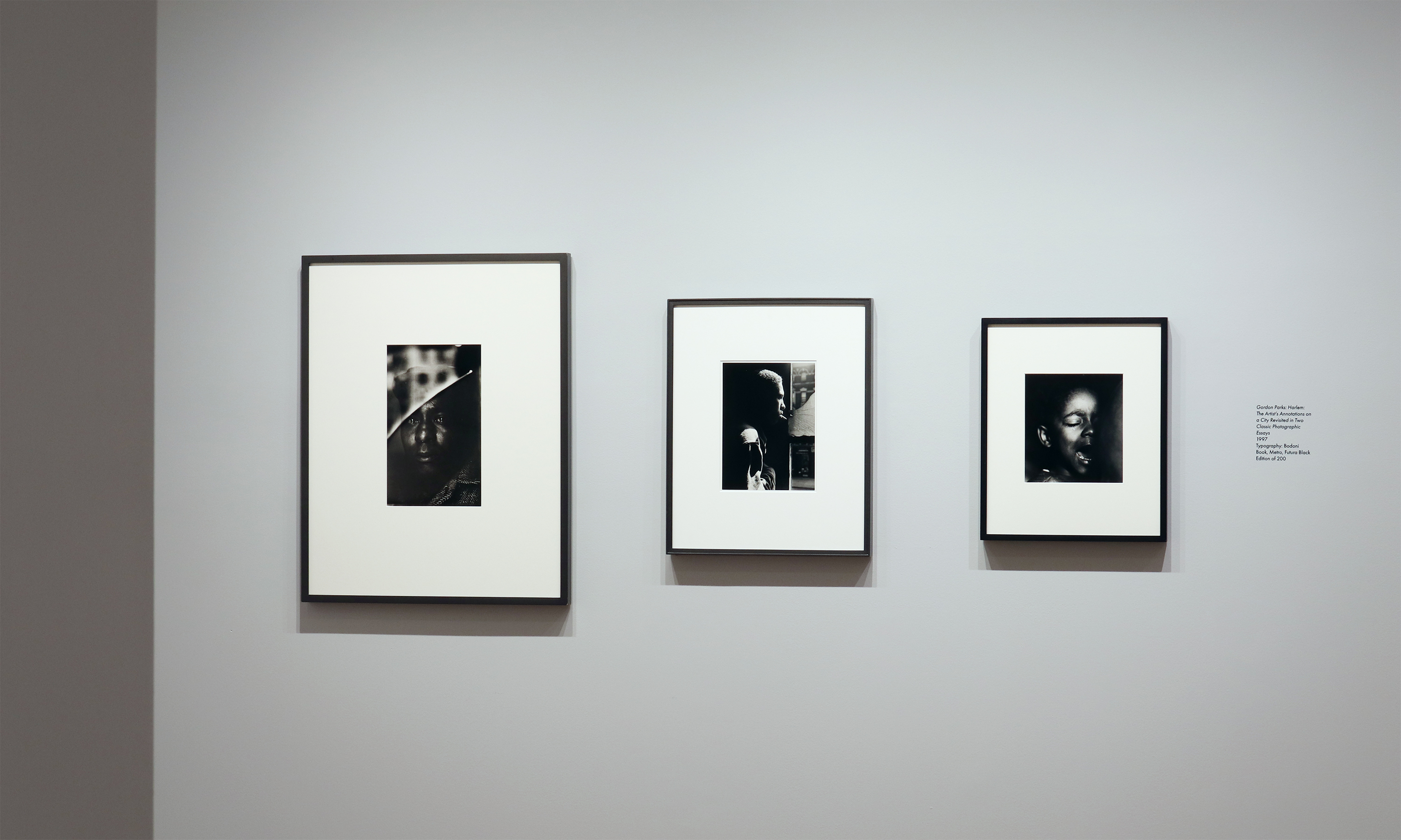 howard greenberg gallery lumiere press printer savant 2024