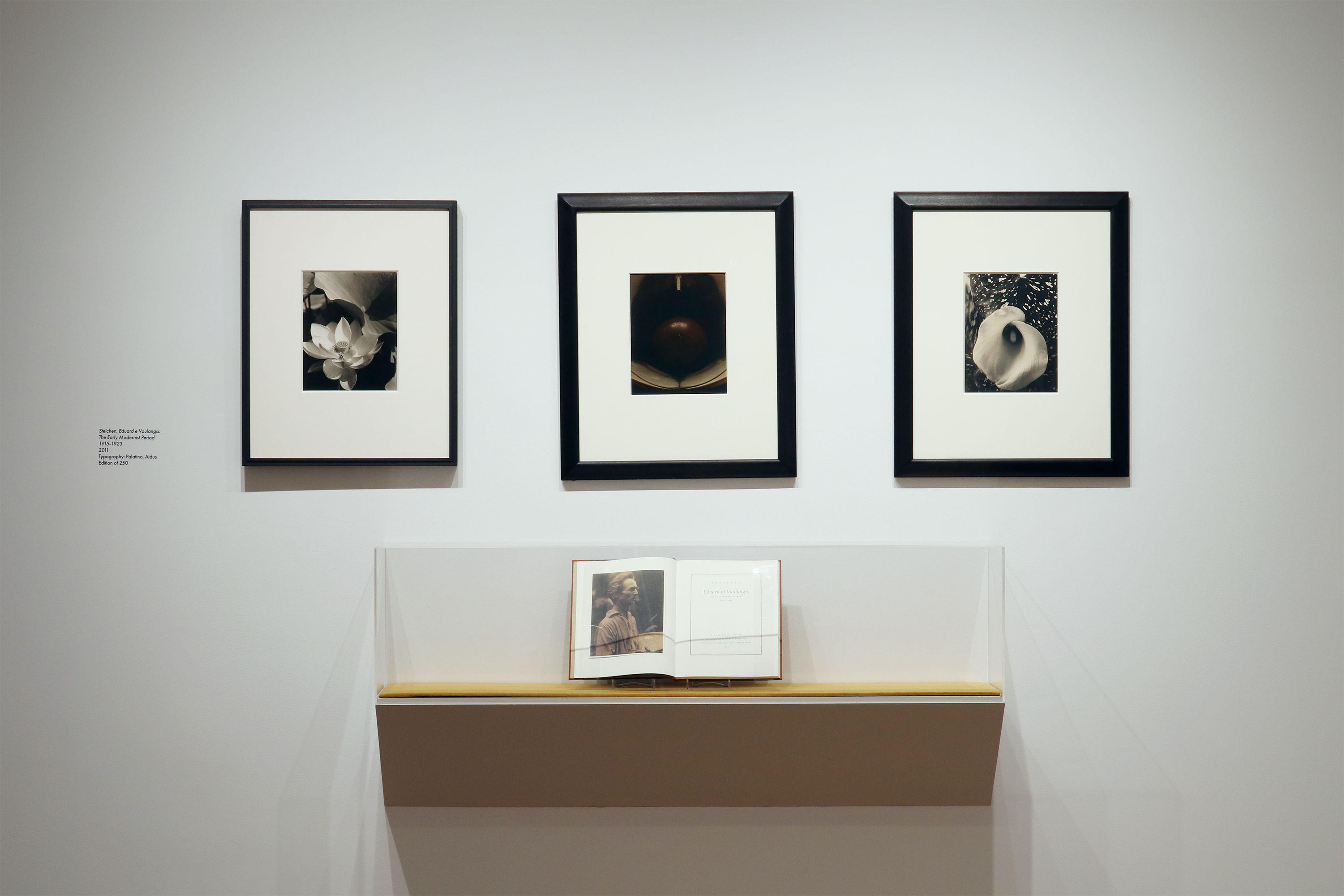 howard greenberg gallery lumiere press printer savant 2024