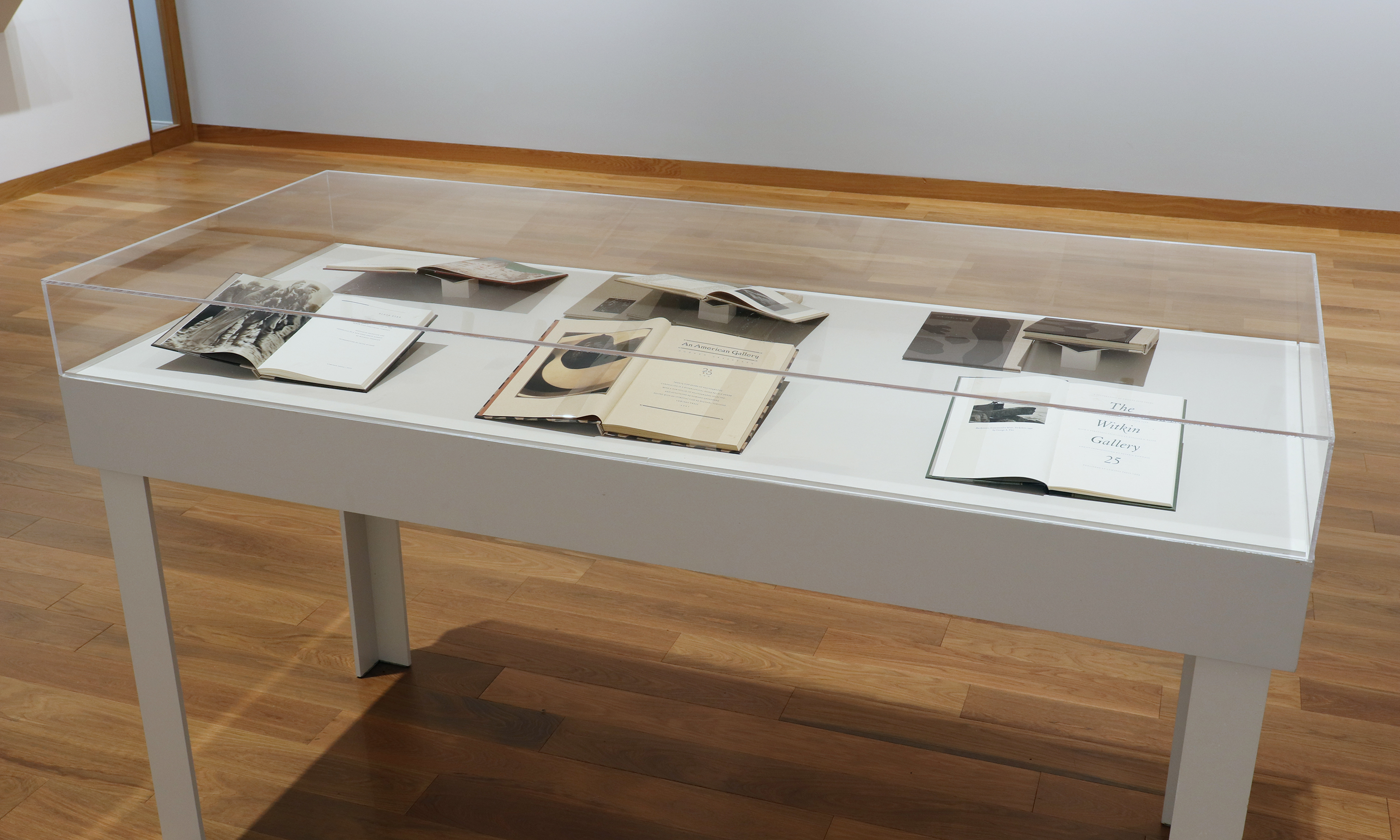 howard greenberg gallery lumiere press printer savant 2024