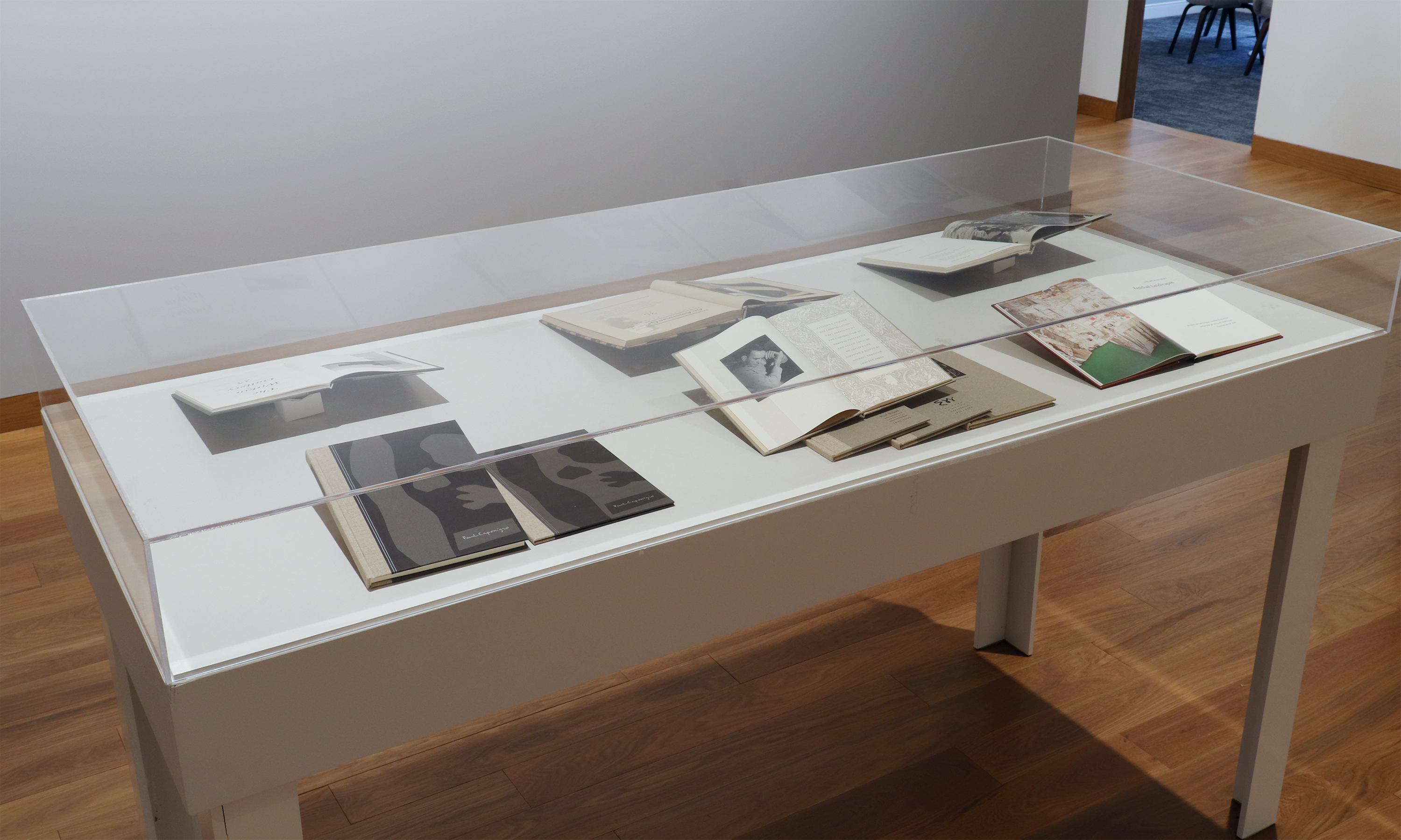 howard greenberg gallery lumiere press printer savant 2024