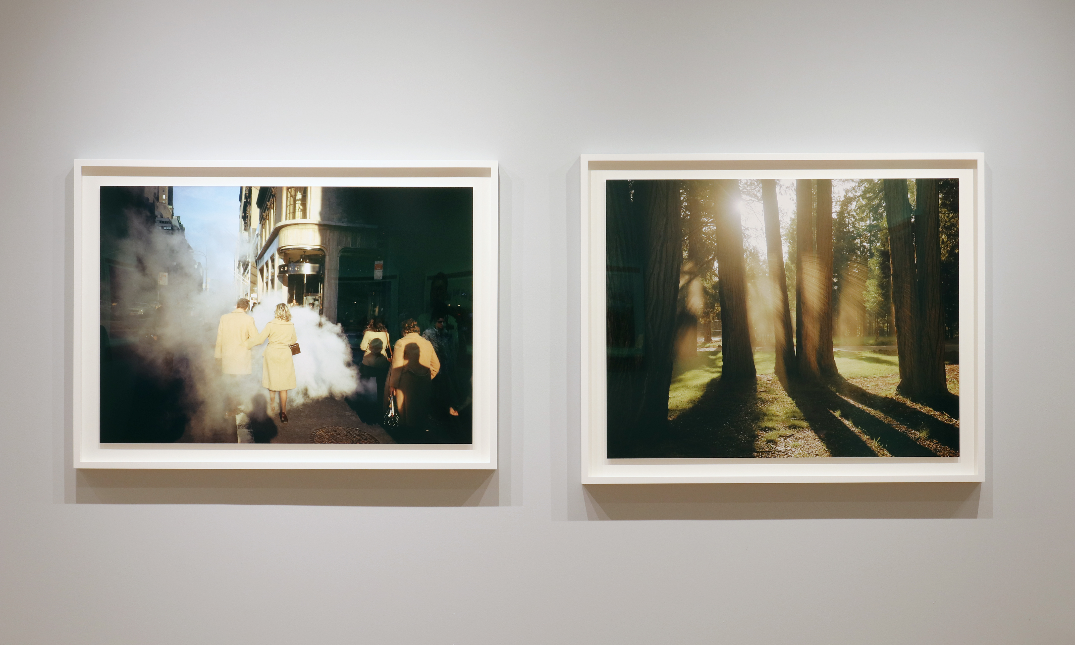 Joel Meyerowitz Conversations installation views