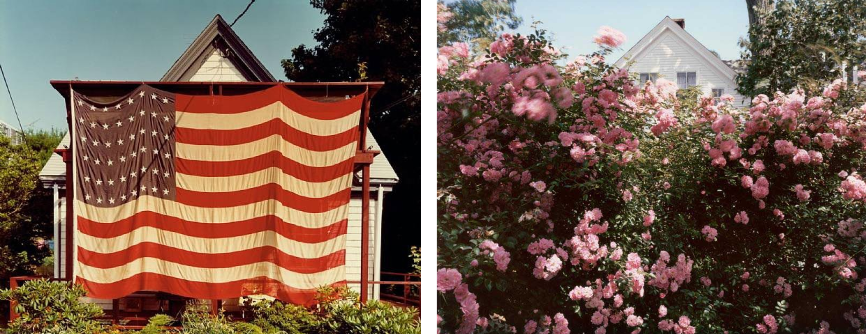 Left: Flag, Provincetown, Massachusetts, July 4, 1983  Right: Cape Cod Roses, 1983