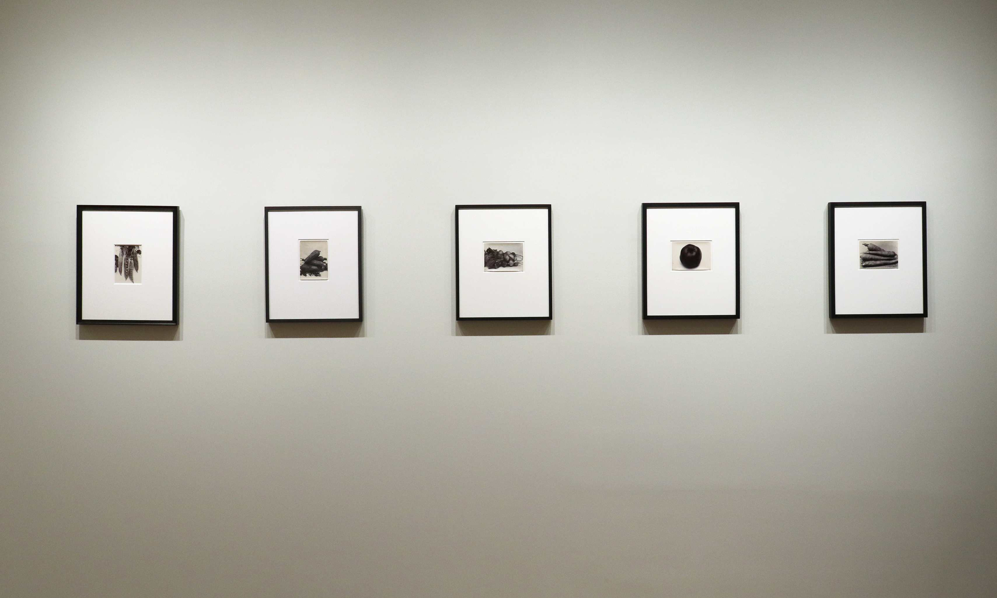 a response to wonder charles jones karl blossfeldt edward weston