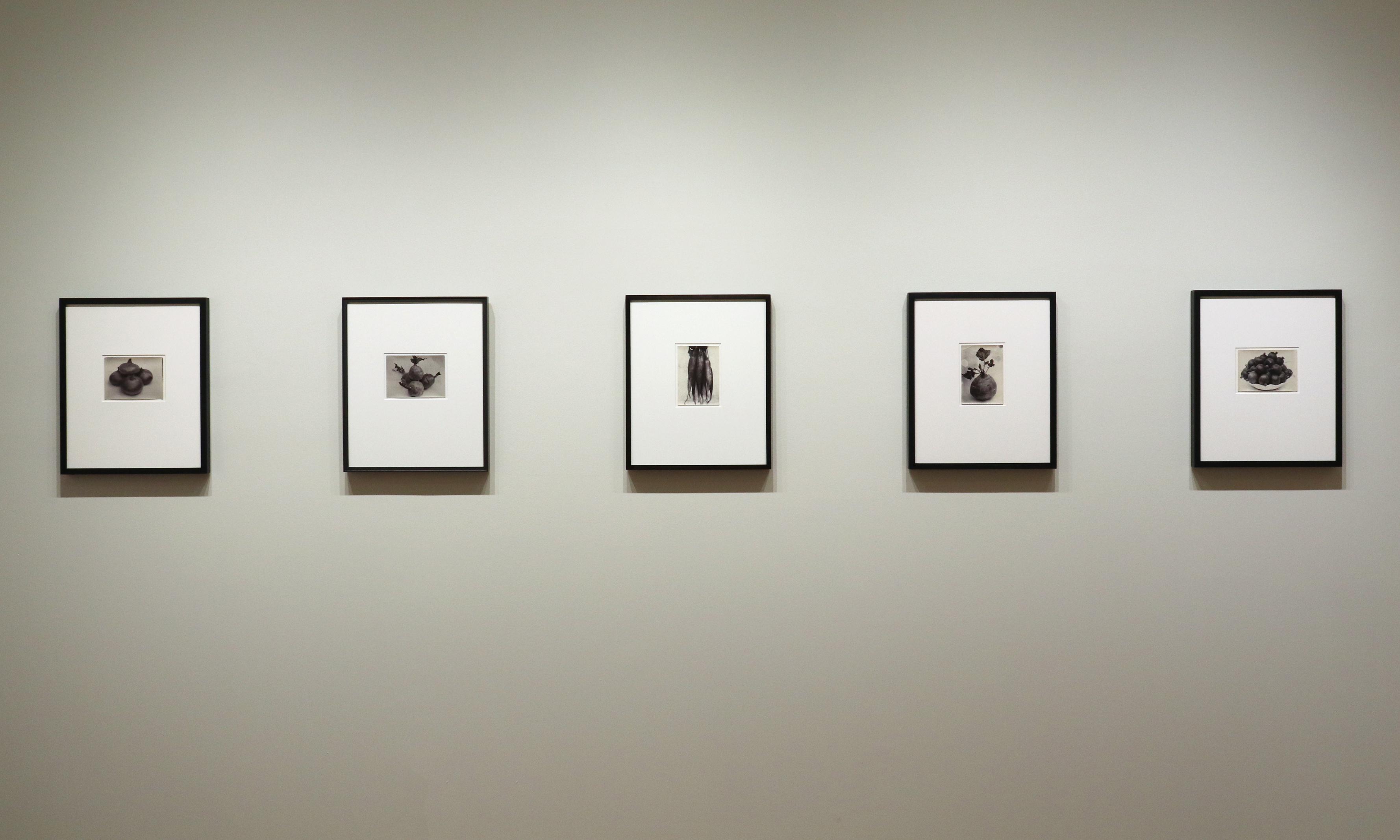 a response to wonder charles jones karl blossfeldt edward weston