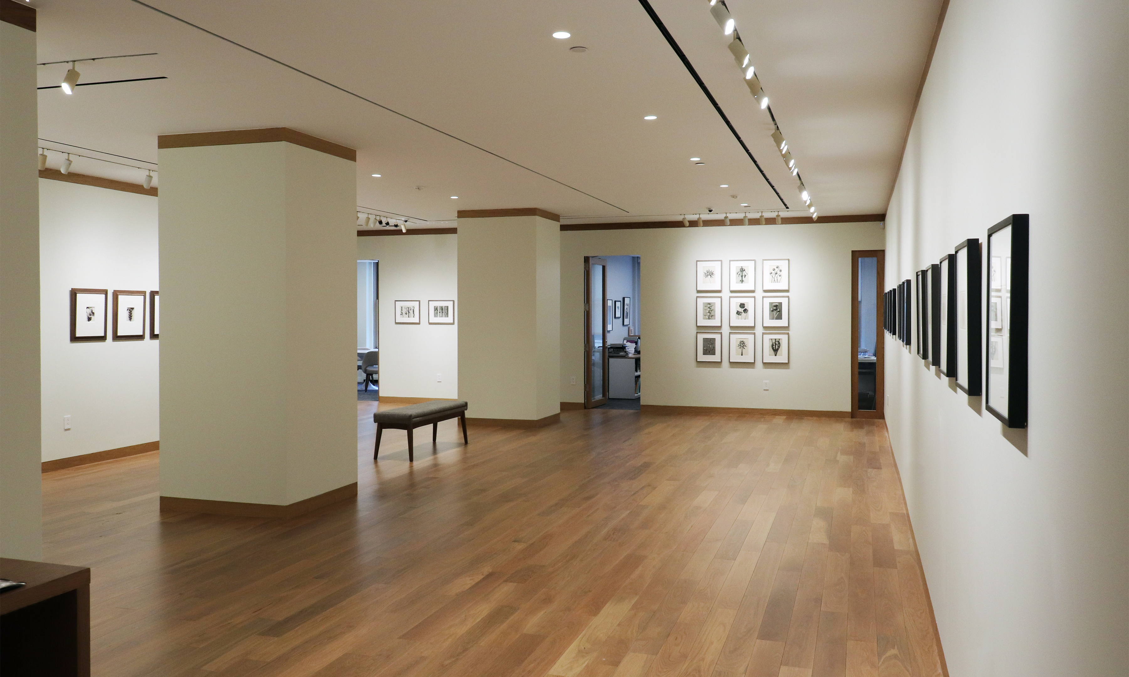 a response to wonder charles jones karl blossfeldt edward weston