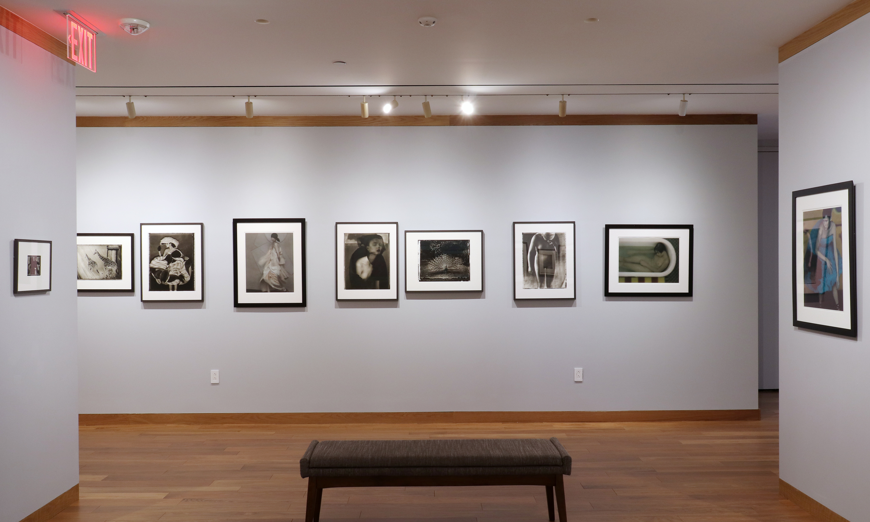 sarah moon howard greenberg gallery on the edge 2024