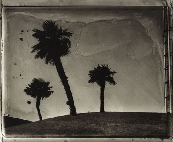 Le Rond point des 3 palmiers, 1994