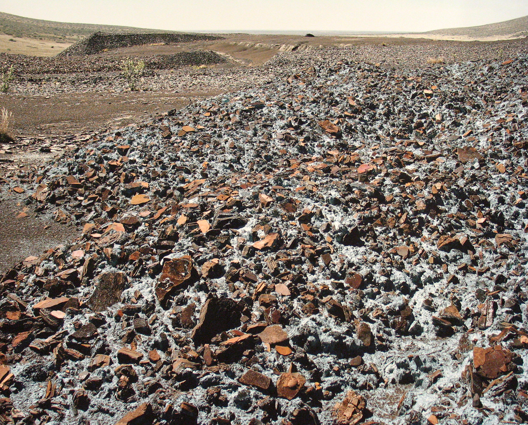 David Goldblatt: A seletion 2010 howard greenberg gallery