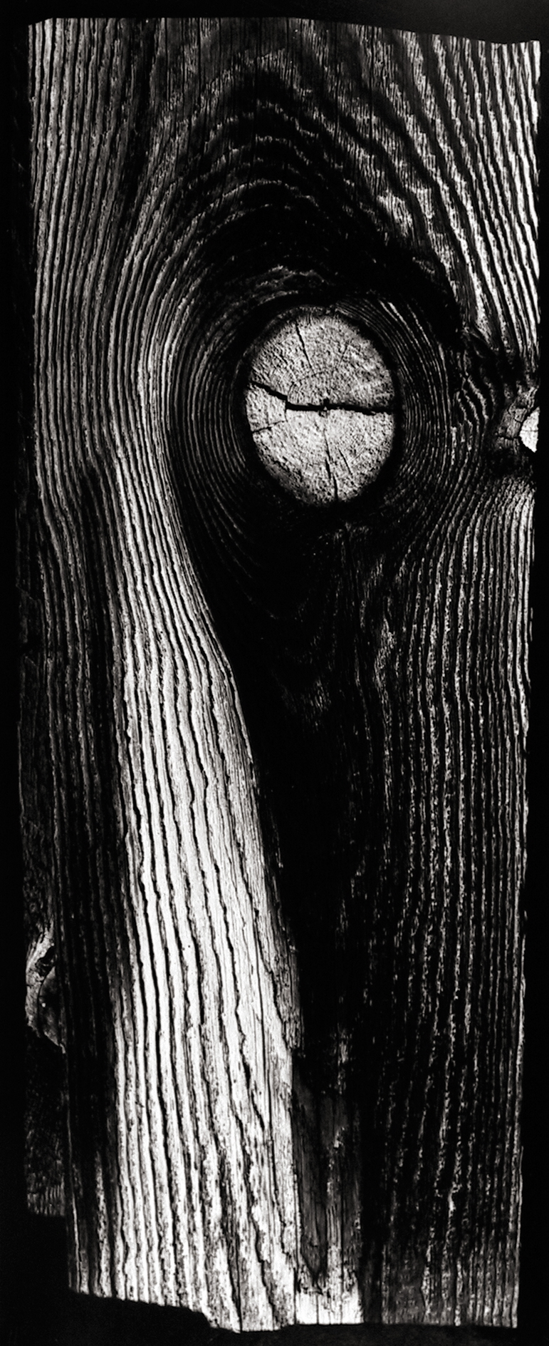 Minor White: Eye Mind Spirit 2008 Howard Greenberg Gallery