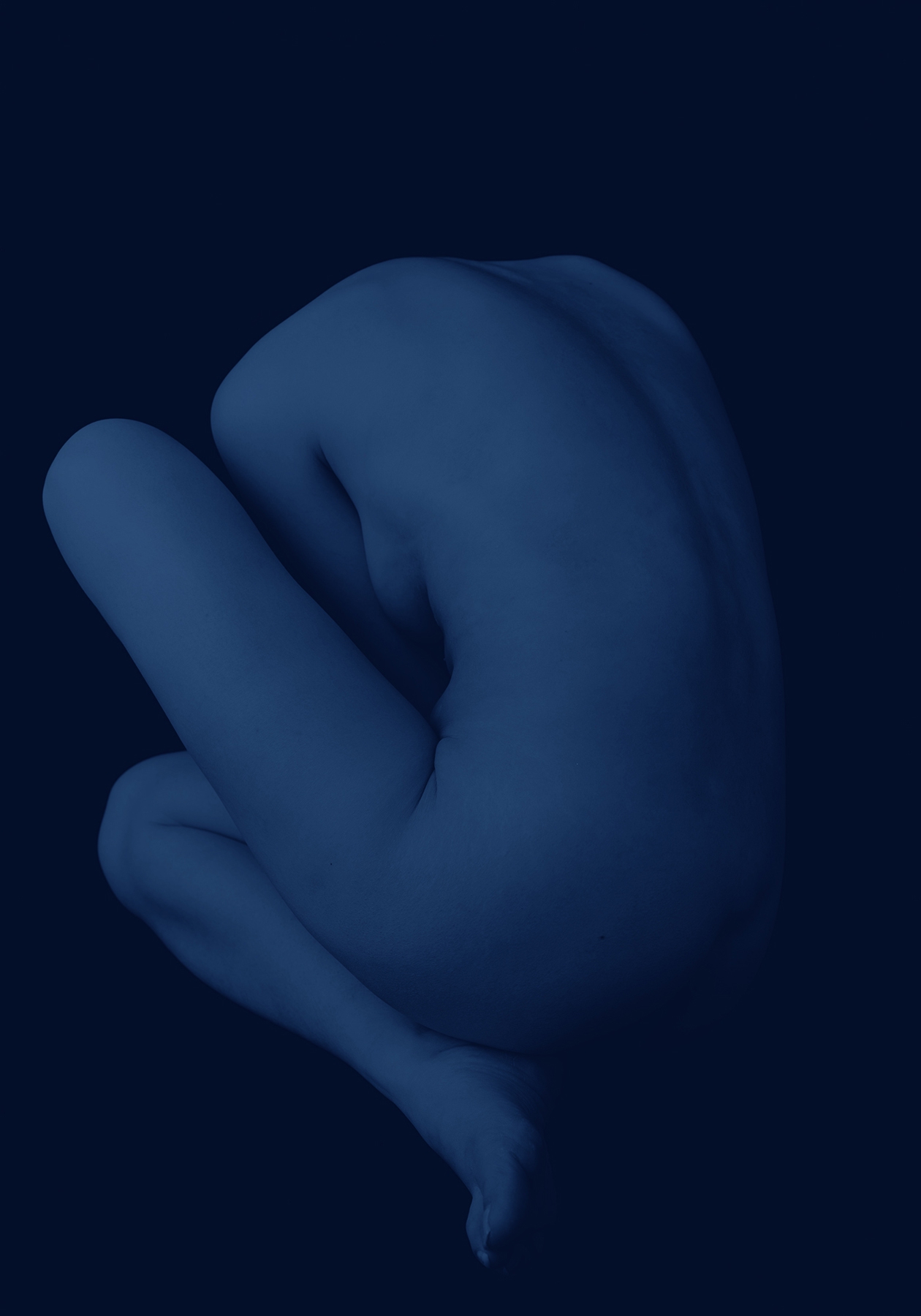 Kenro Izu, Howard Greenberg Gallery, 2017