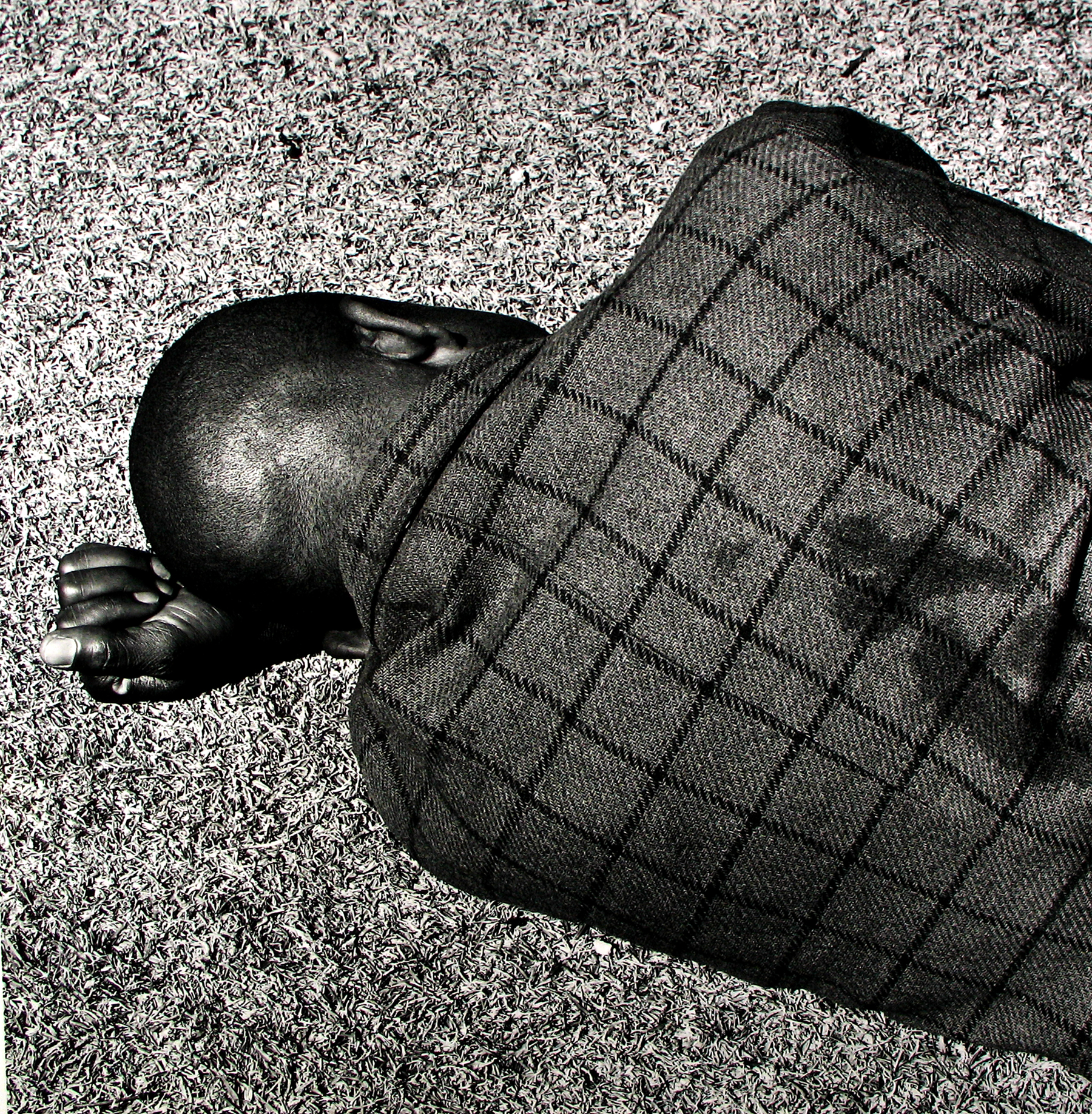 David Goldblatt: Particulars 2010 Howard Greenberg Gallery