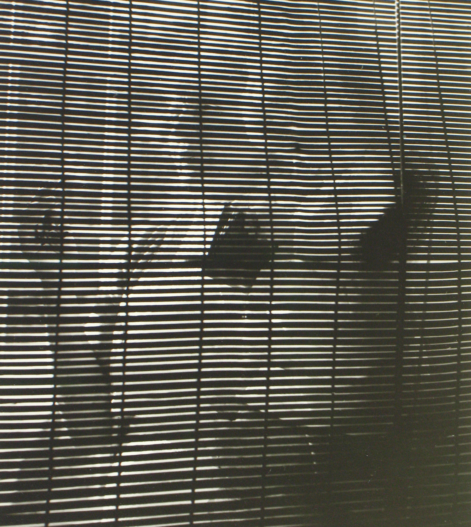 Vivian Maier: Lifetime Prints from the Maloof Collection 2011 Howard Greenberg Gallery