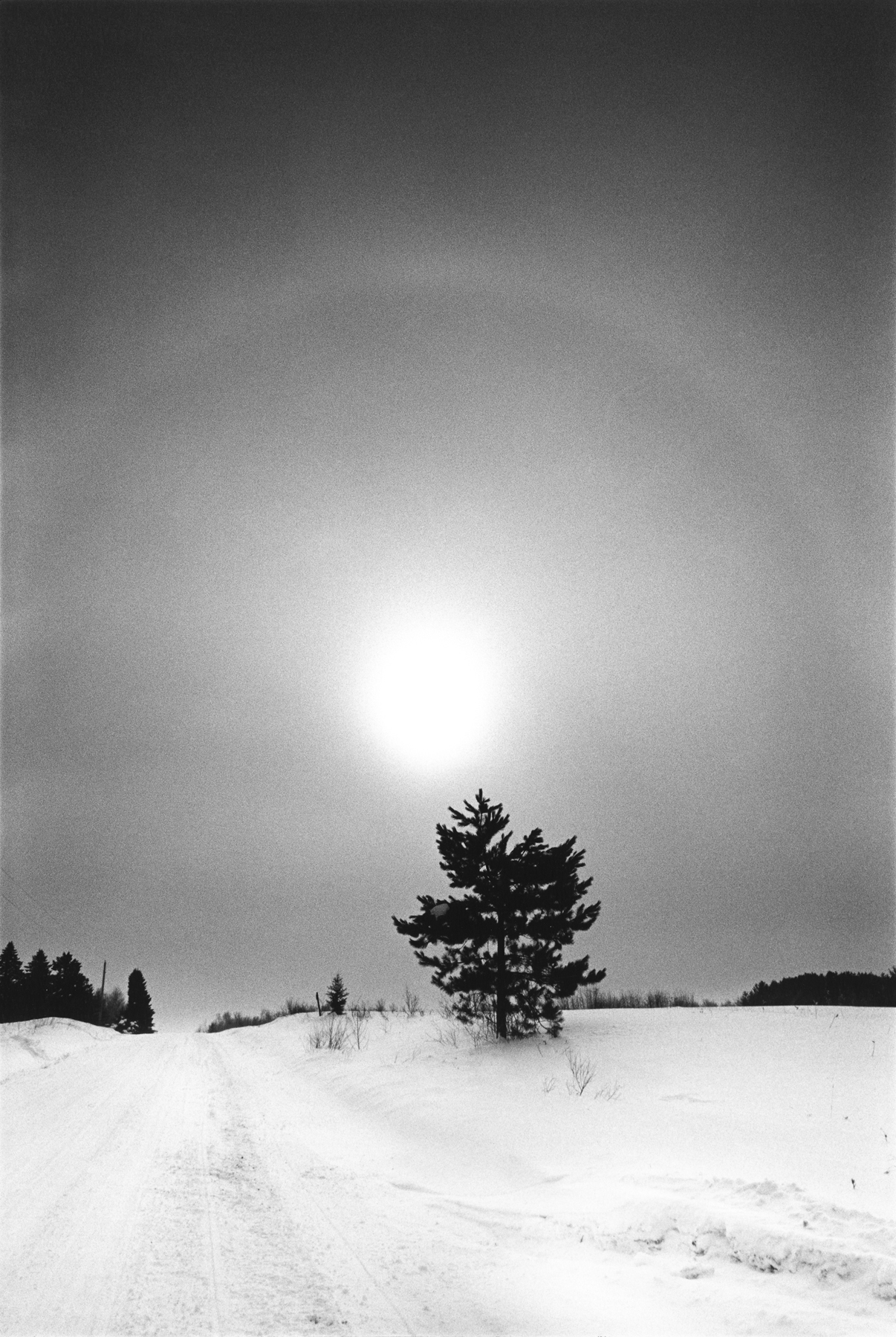 Jessica Lange, Highway 61, 2011-18, Howard Greenberg Gallery, 2019