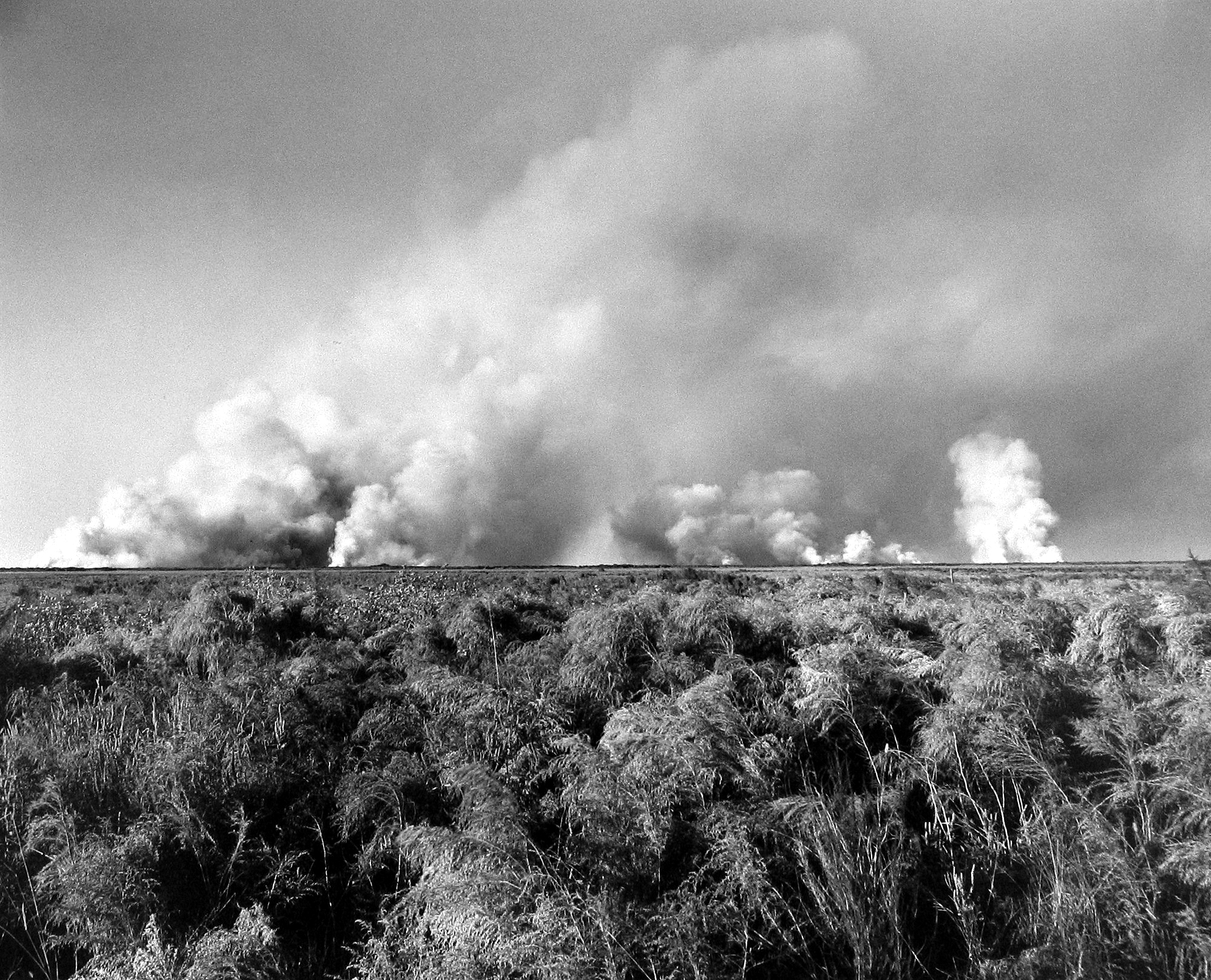 Frank Gohlke 2005 howard greenberg gallery