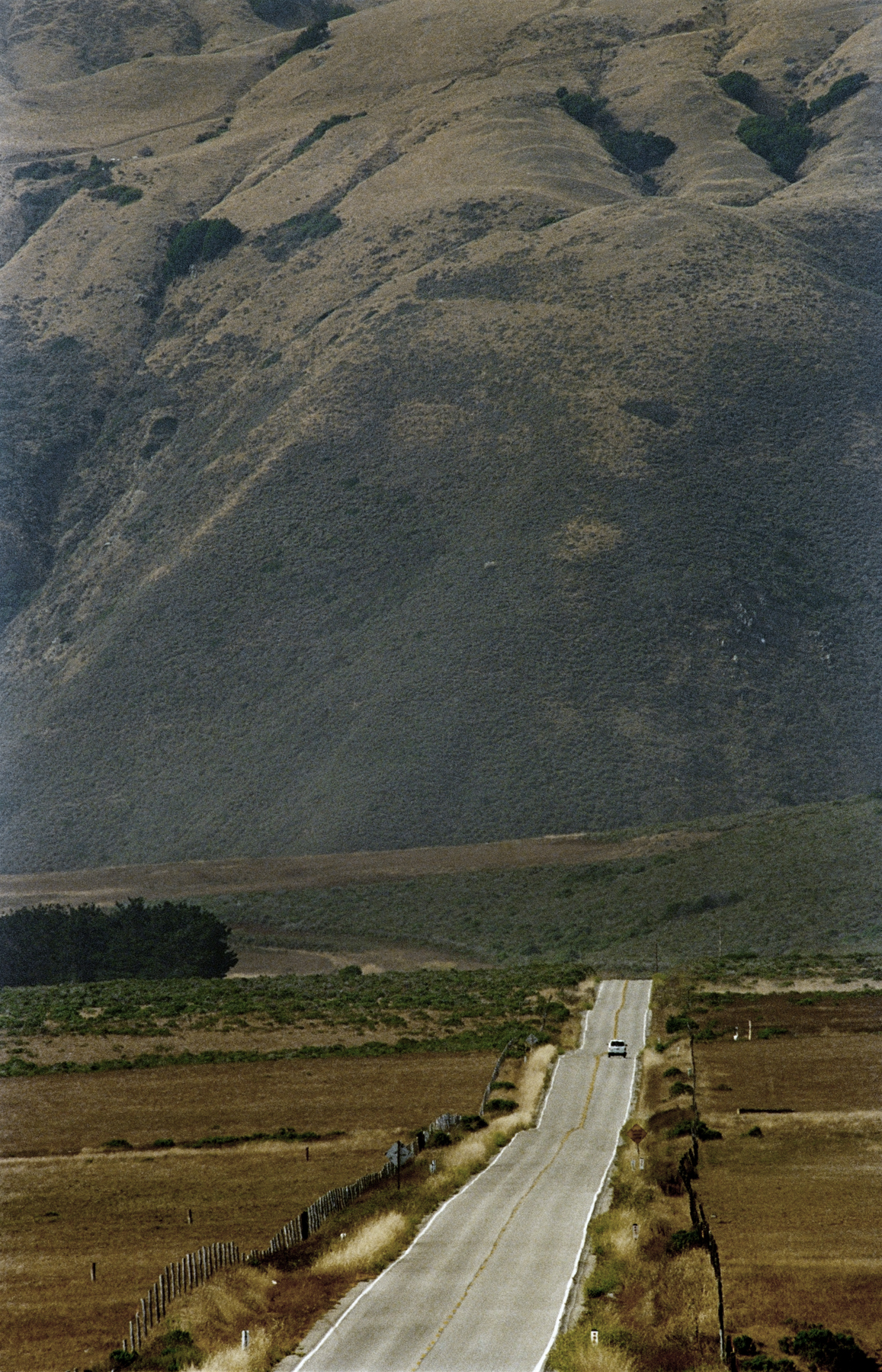 Bruce Davidson - In Color - Howard Greenberg Gallery - 2015