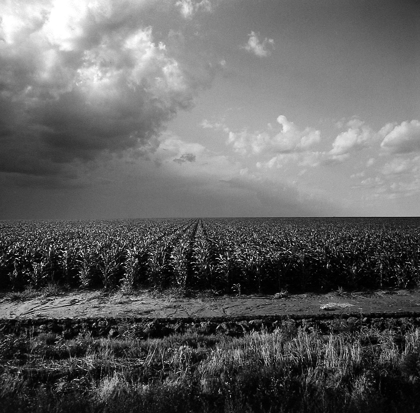 Frank Gohlke 2005 howard greenberg gallery