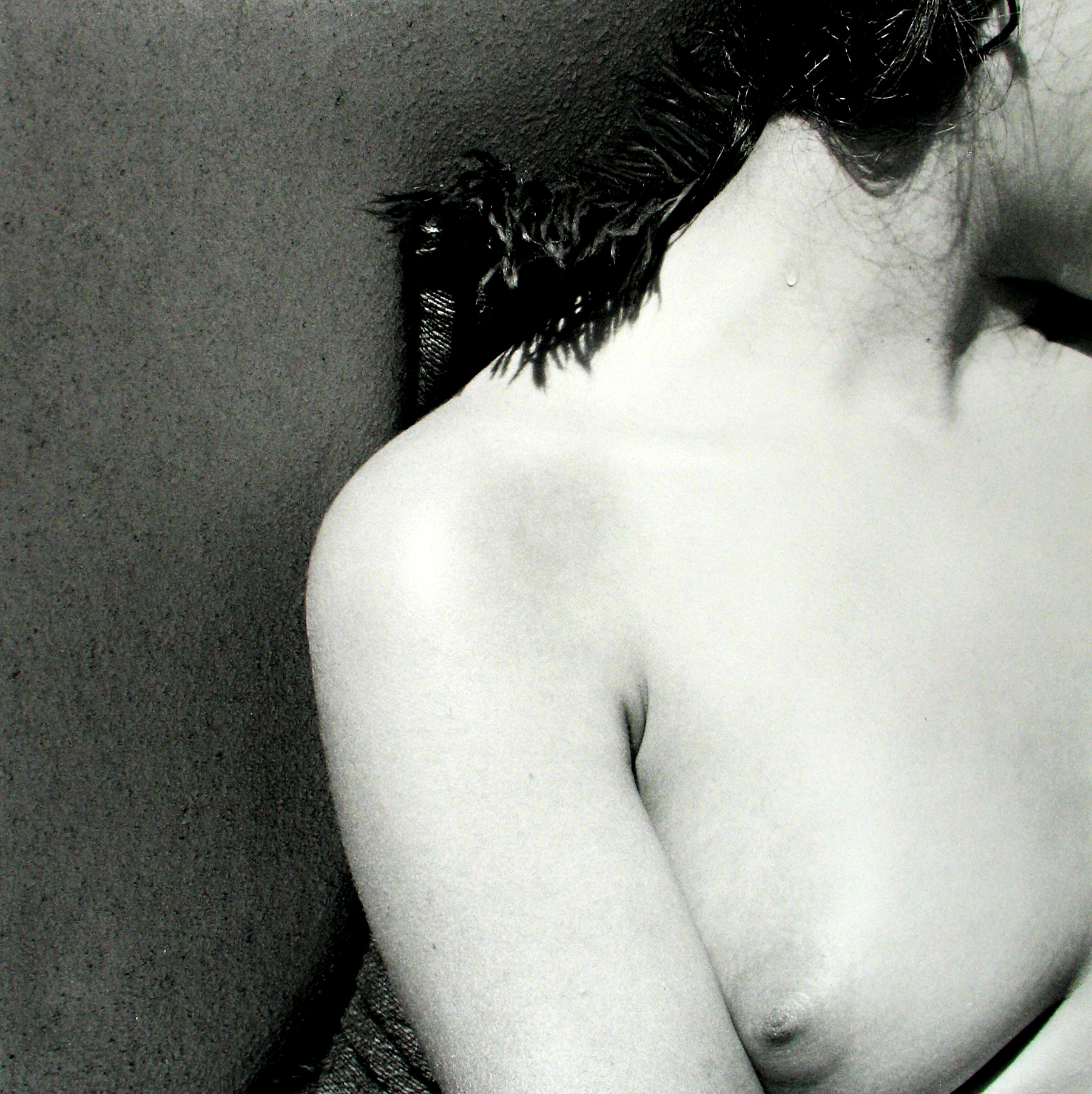 David Goldblatt: Particulars 2010 Howard Greenberg Gallery