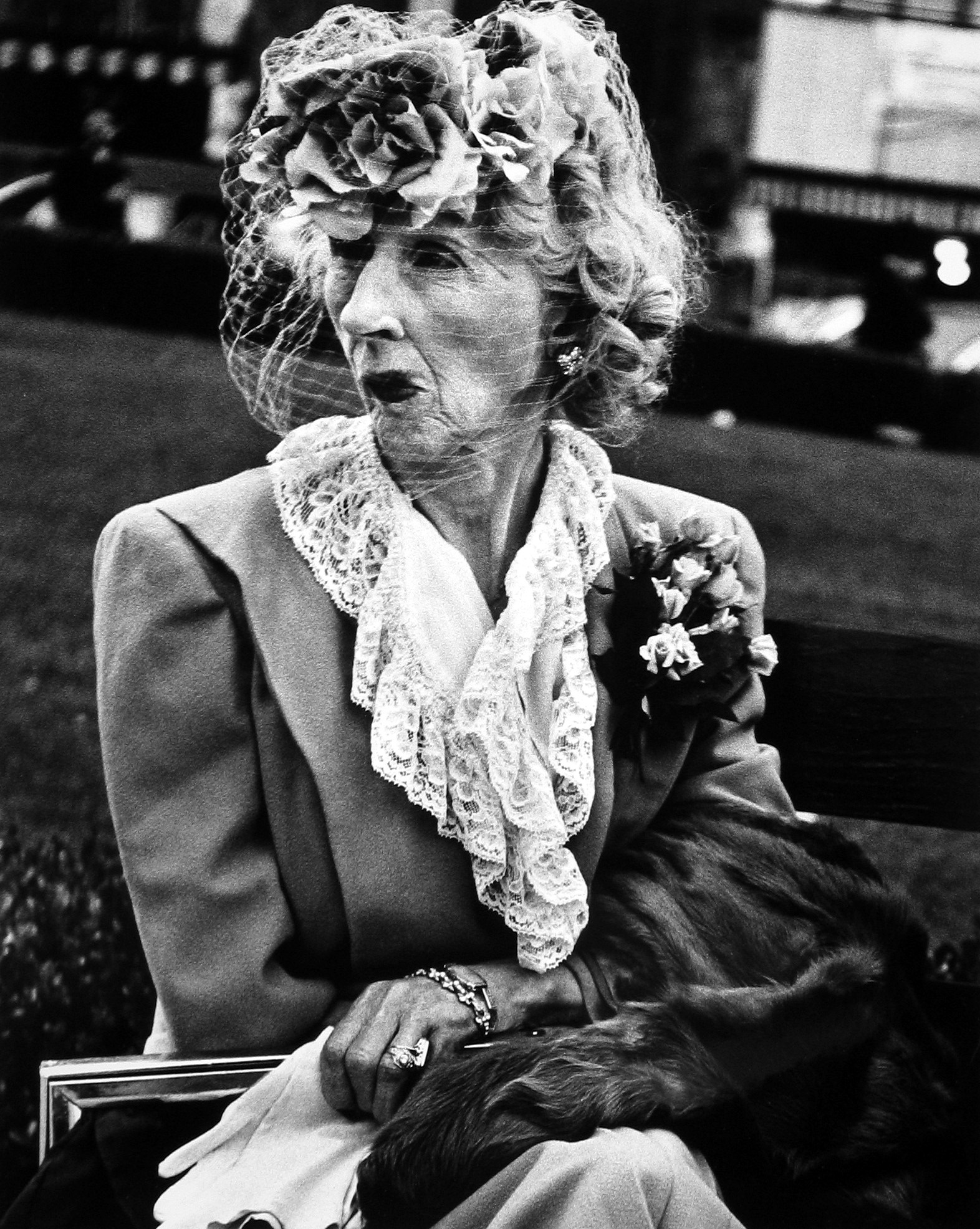 Staff Picks 2012 Howard Greenberg Gallery