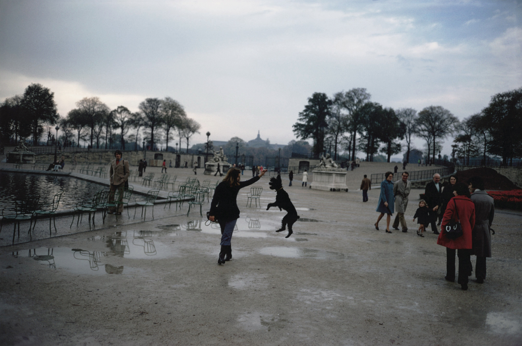 Joel Meyerowitz - 50 Years of Photographs Part I: 1962 - 1977 2012 Howard Greenberg Gallery