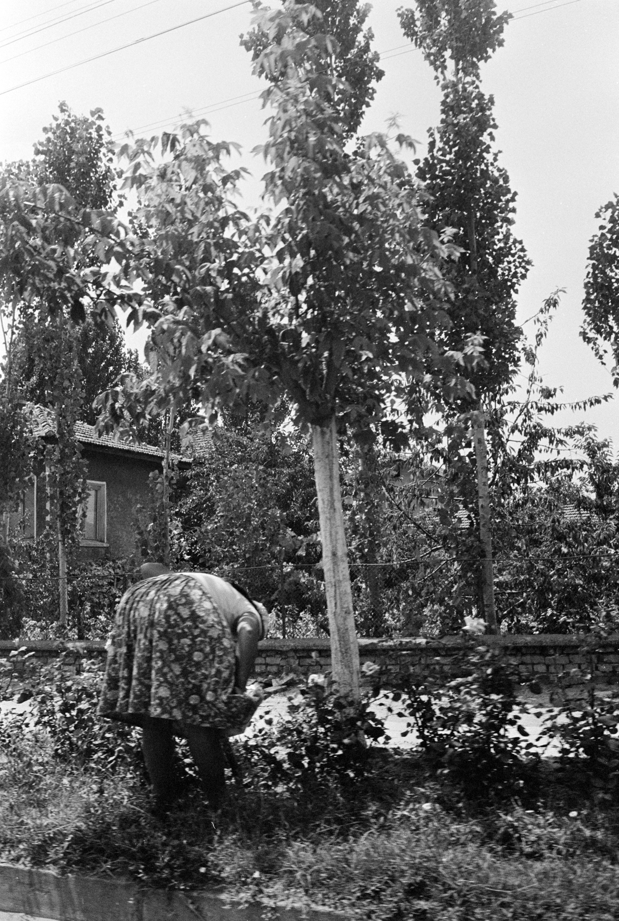 Joel Meyerowitz - European Trip: Photographs from the Car, 1968 2014 Howard Greenberg Gallery