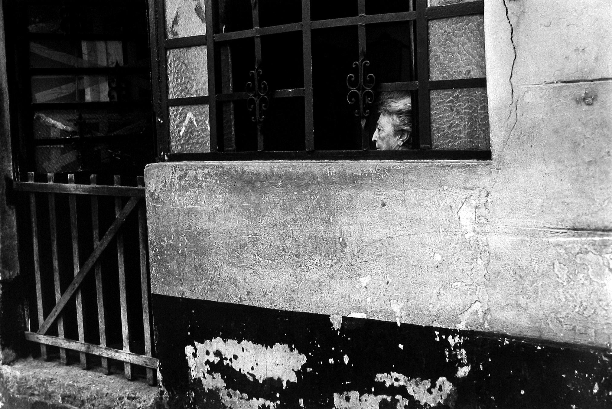 Upon Reflection Photographs by Judy Glickman Lauder Howard Greenberg Gallery 2017