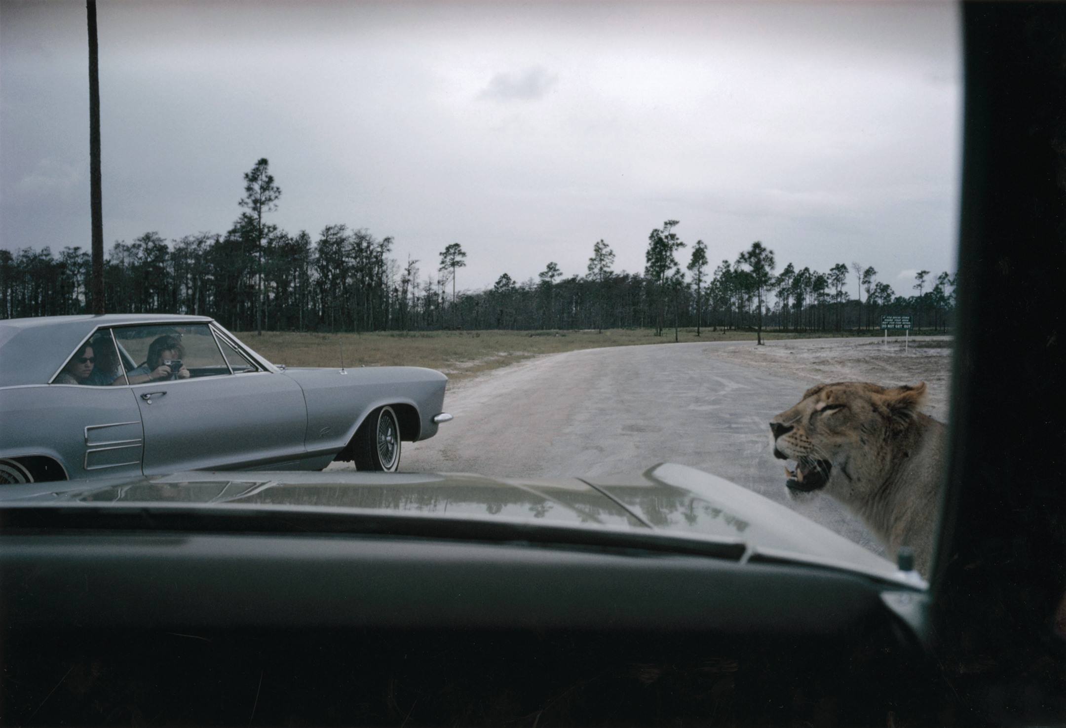 Joel Meyerowitz - 50 Years of Photographs Part I: 1962 - 1977 2012 Howard Greenberg Gallery