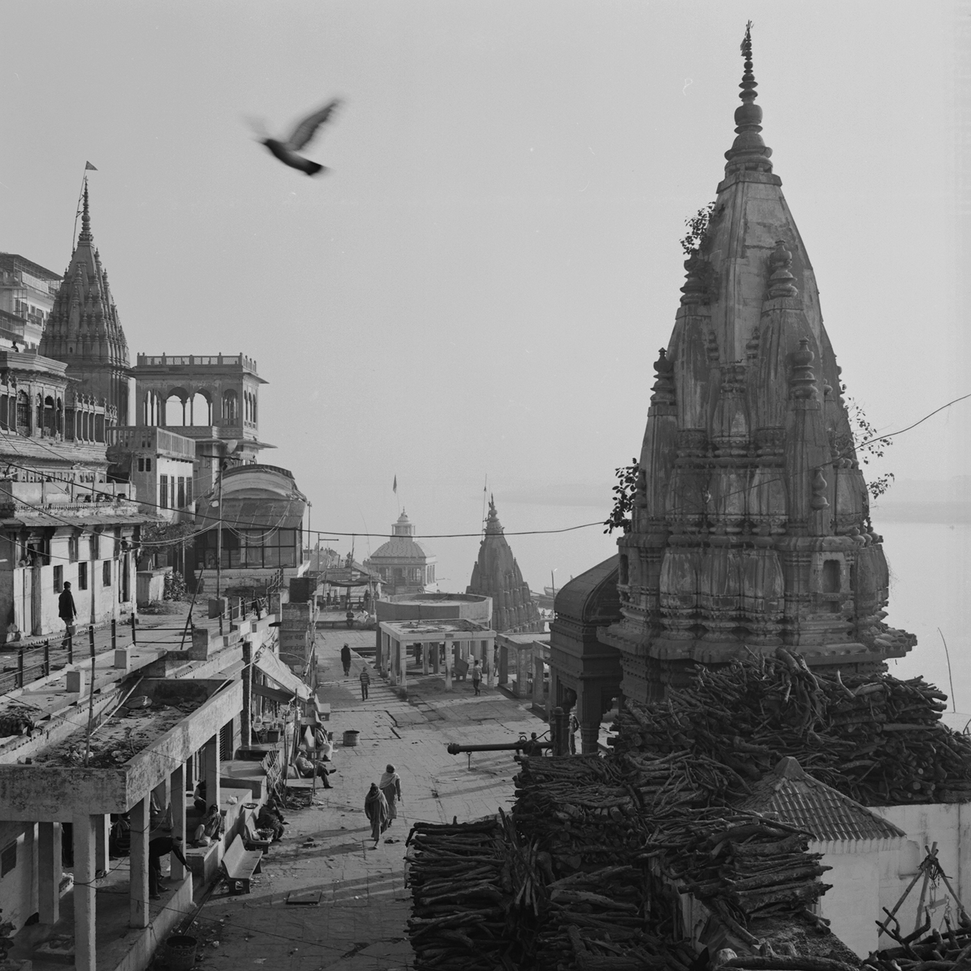 Kenro Izu: Eternal Light, Howard Greenberg Gallery, 2017