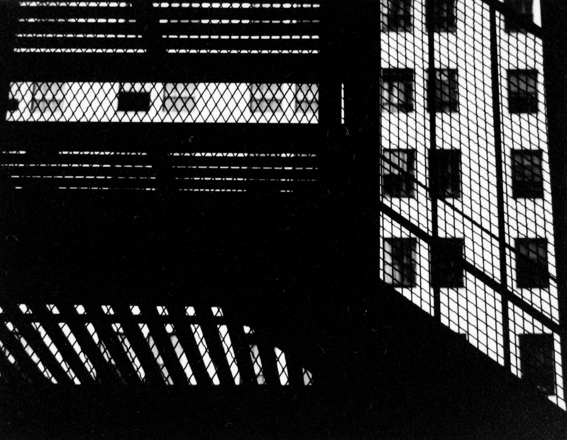 Walker Evans and His Early Circle 2004 Howard Greenberg Gallery