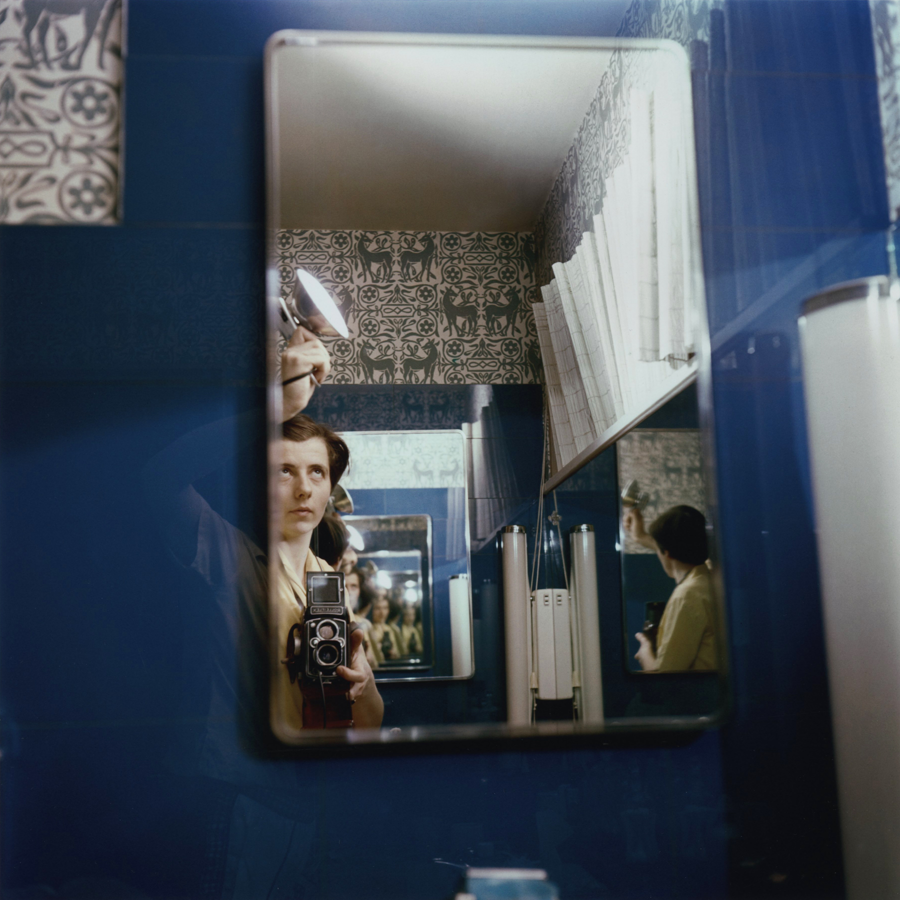 Vivian Maier: Self Portrait 2013 2014 howard greenberg gallery