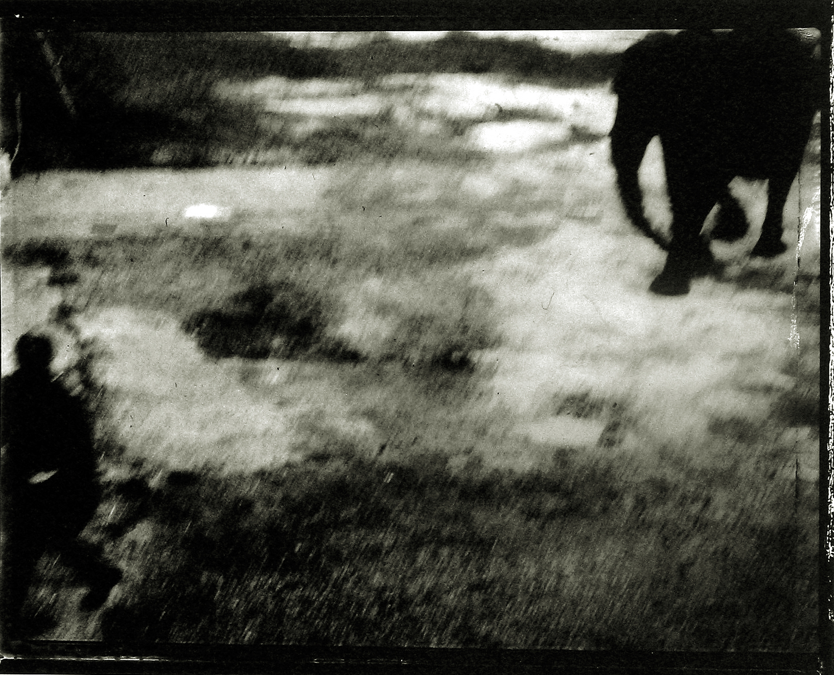 Sarah Moon: Circus 2004 2005 howard greenberg gallery