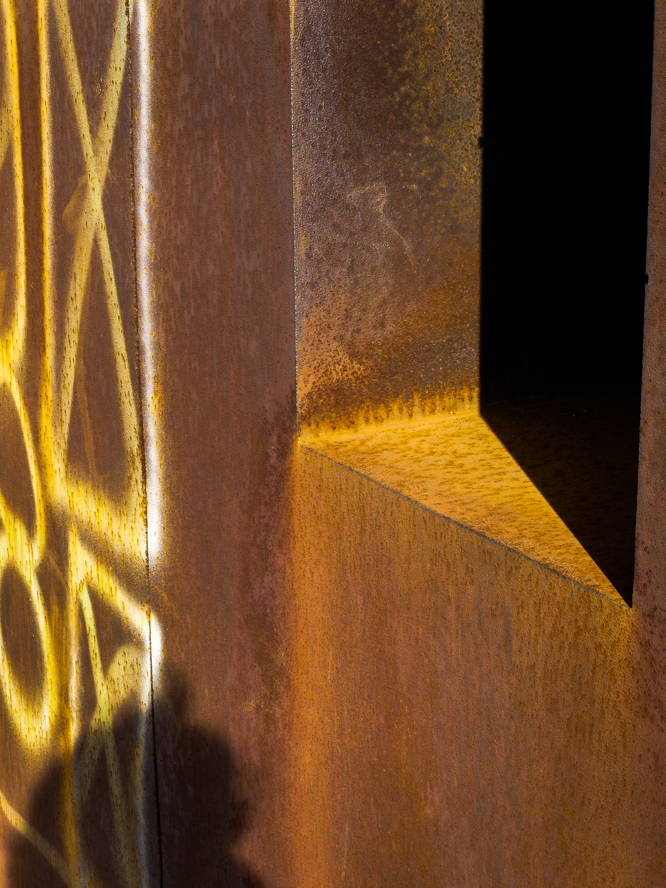 Upon Reflection Photographs by Judy Glickman Lauder Howard Greenberg Gallery 2017