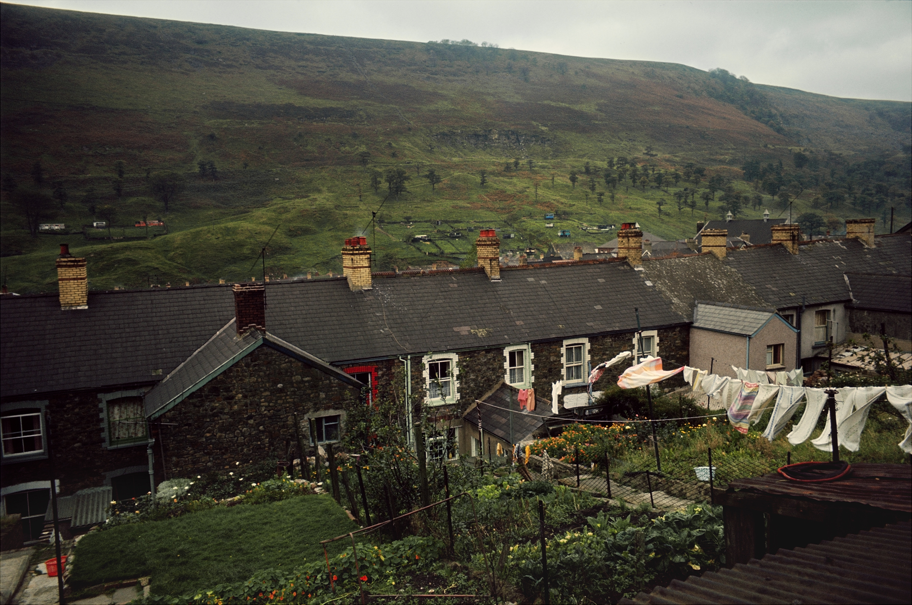 Bruce Davidson - In Color - Howard Greenberg Gallery - 2015