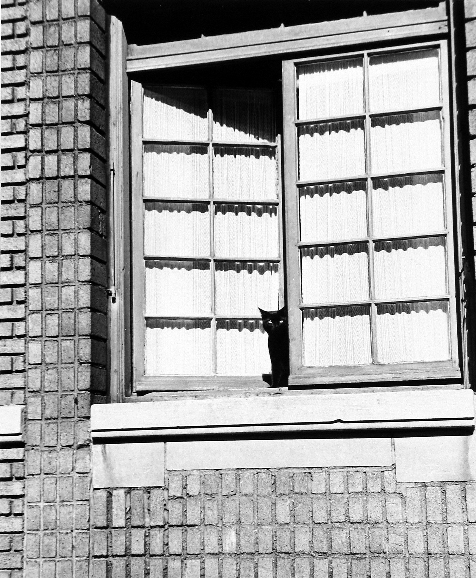 Staff Picks IV - Howard Greenberg Gallery - 2014