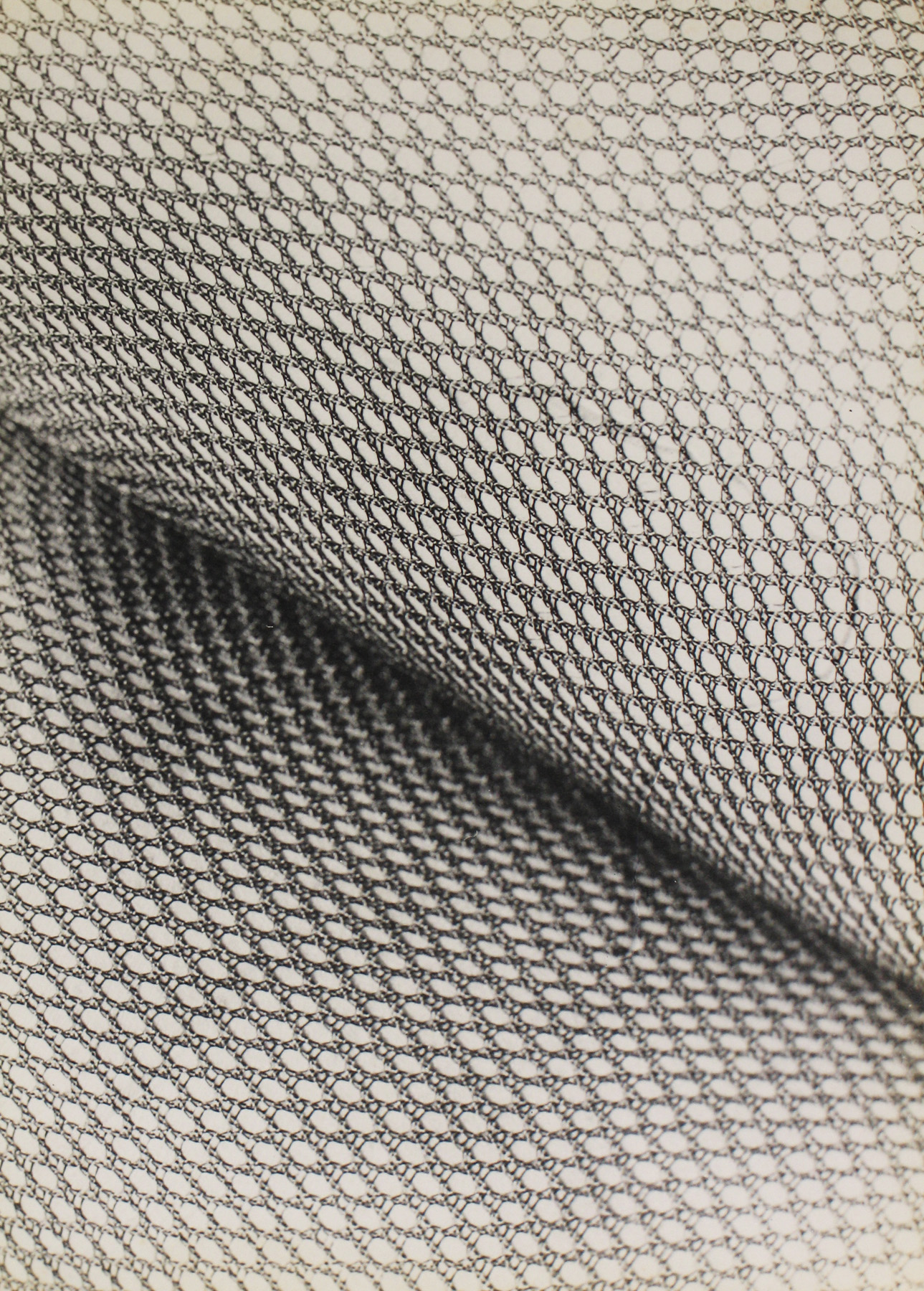 Photographers of Japanese Descent 2008 Howard Greenberg Gallery