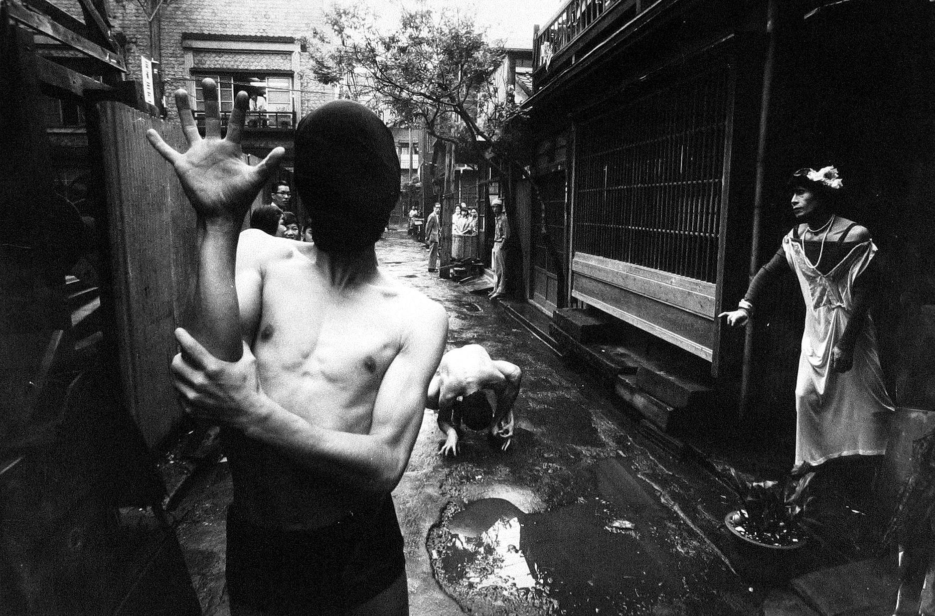 Photo Libris: Important Books and Photographs 2006 howard greenberg gallery