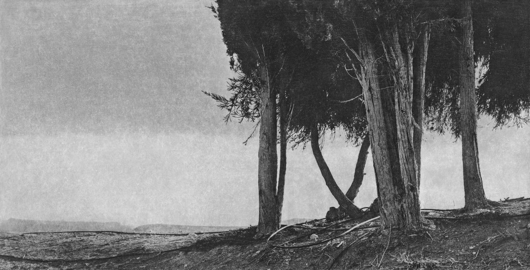 Jungjin Lee: Recent Projects - Works from Unnamed Road - Howard Greenberg Gallery - 2015