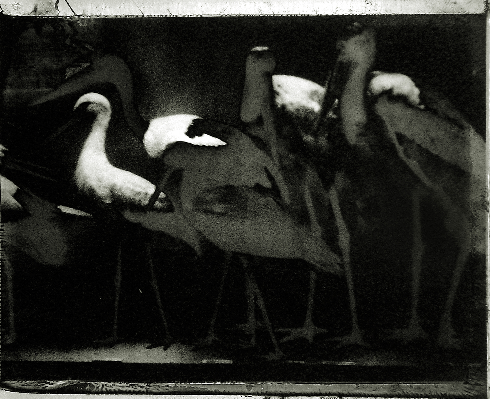 Sarah Moon: Circus 2004 2005 howard greenberg gallery