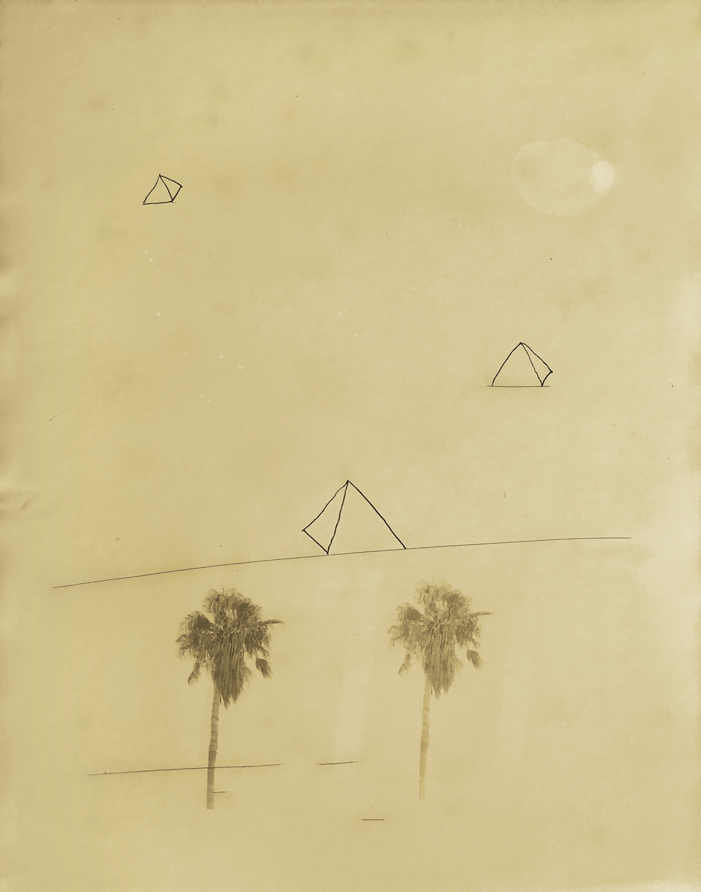 Bruno Roels: A Palm Tree is a Palm Tree is a Palm Tree, Howard Greenberg Gallery, 2018